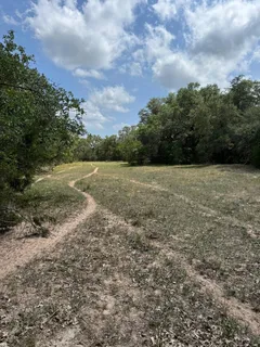 a view of dirt field with trees