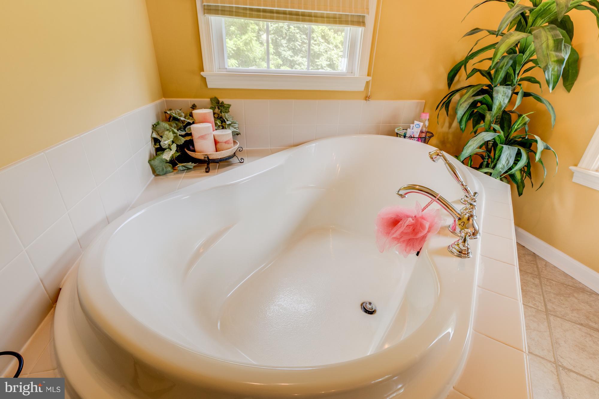 12577 Jersey Road King George, VA 22485 - Photo 14 of 30 Bath (Master)