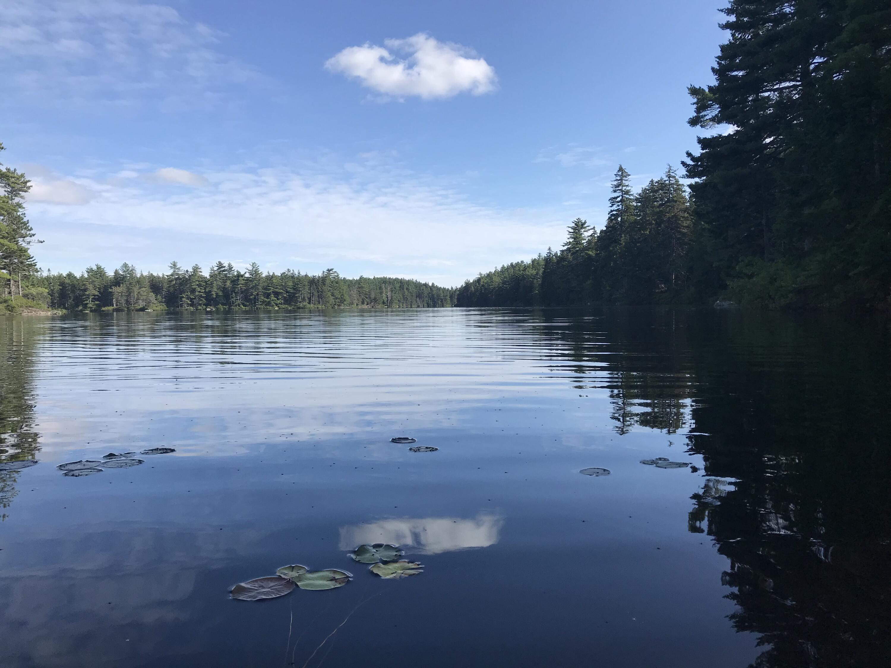 266 Pitman Road Sullivan, ME 04664 - Photo 104 of 121 IMG_6467