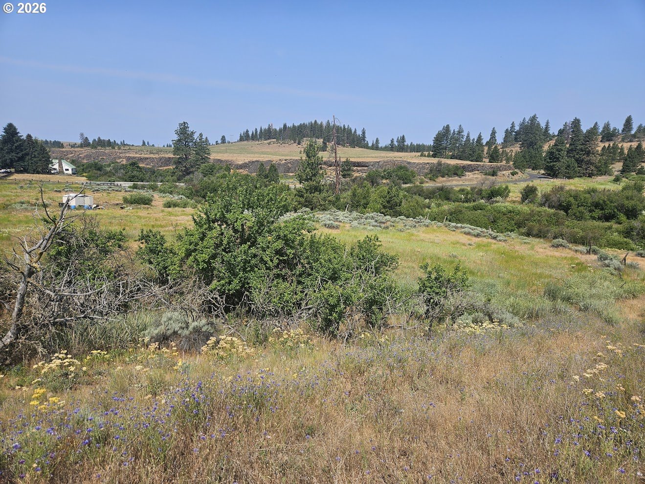 Olson Road Centerville, WA 98613 - Photo 18 of 25