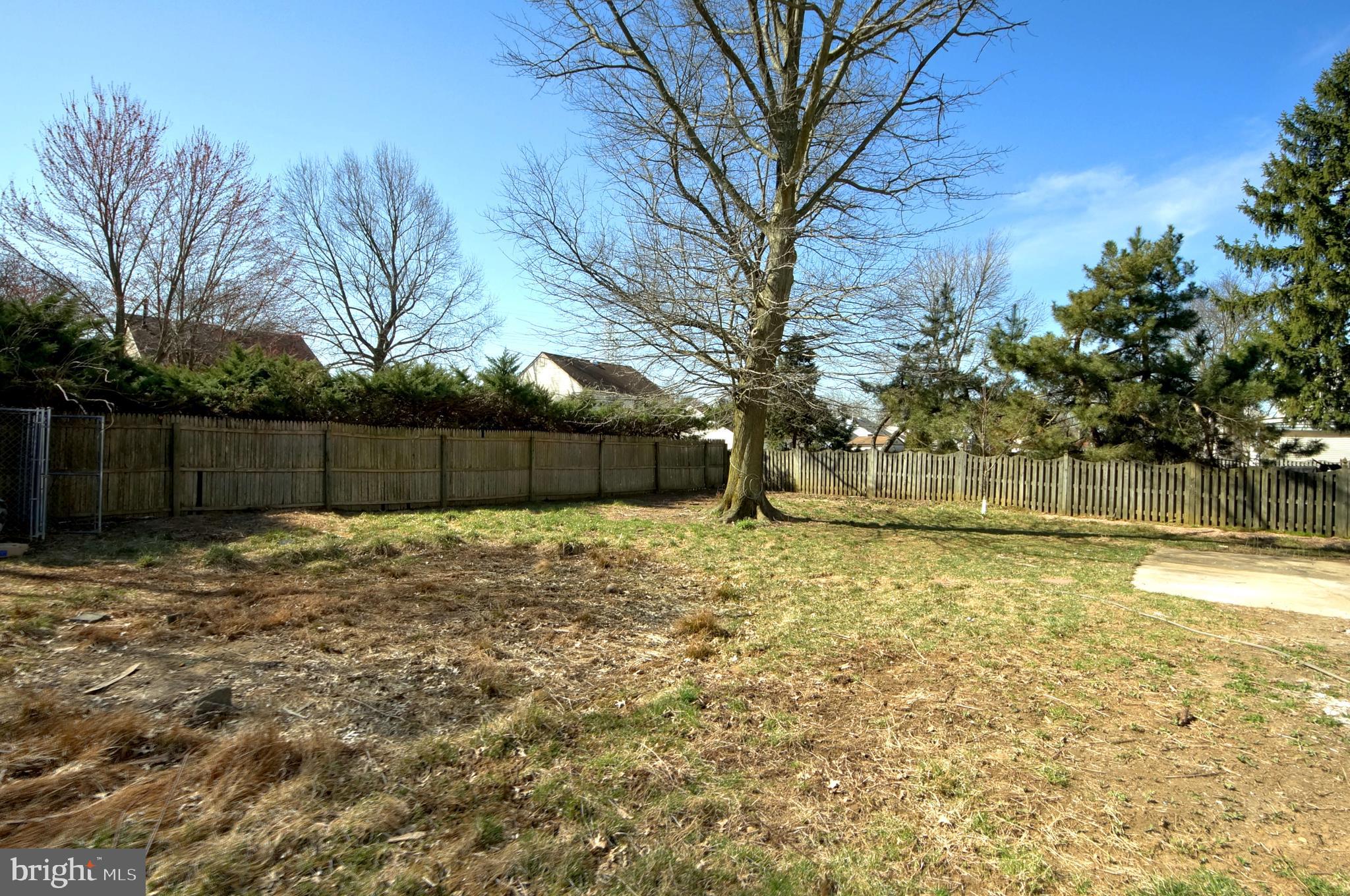 109 Coopers Kill Road Delran, NJ 08075 - Photo 33 of 35 a backyard of house with trees