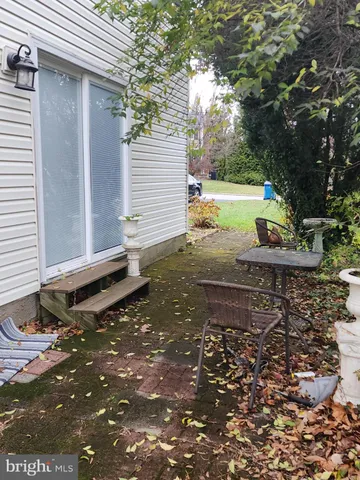 a view of a yard with plants and trees