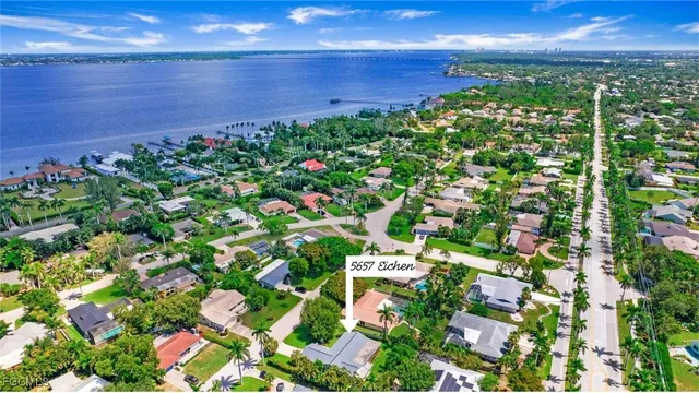 a picture of flowers