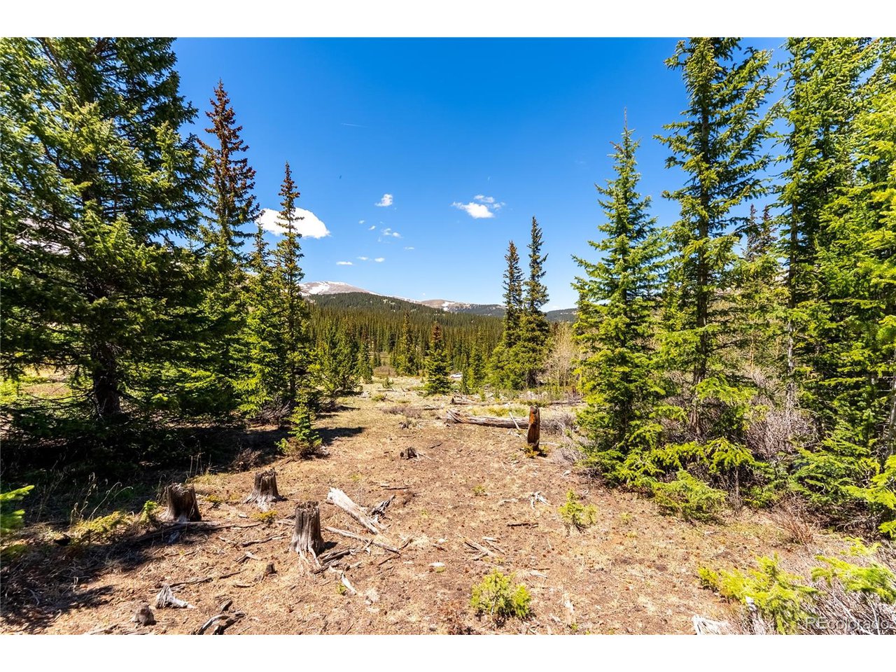 16 Zinc Road Alma, CO 80420 - Photo 21 of 24 Gallery Image 21