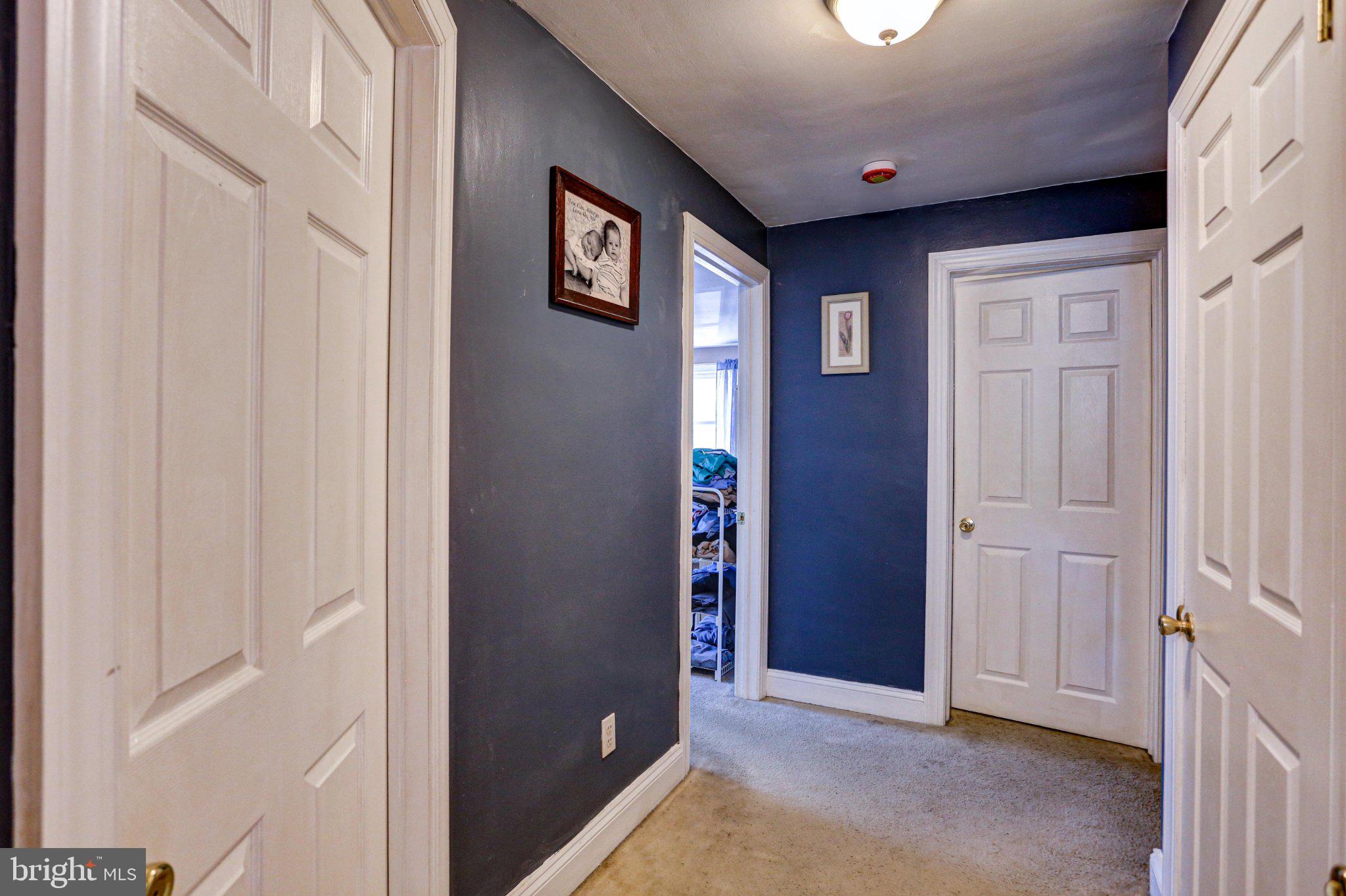 125 West Thomson Avenue Springfield, PA 19064 - Photo 29 of 41 Inviting hallway with rich blue tones.
