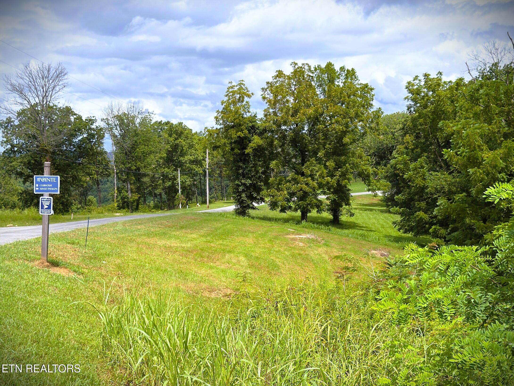 Lot 15 Swan Ridge Road Celina, TN 38551 - Photo 11 of 27 IMG_4176