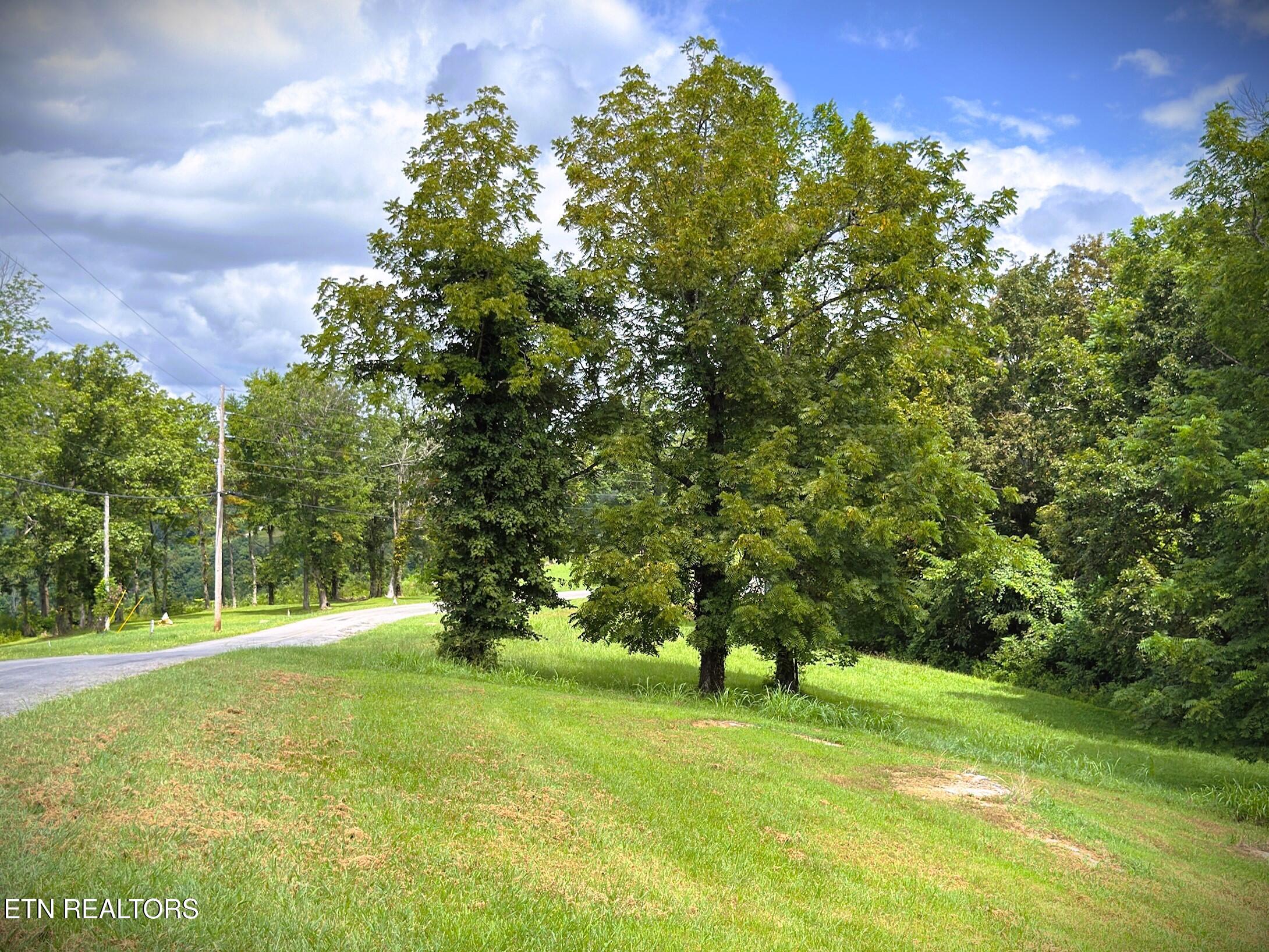 Lot 15 Swan Ridge Road Celina, TN 38551 - Photo 13 of 27 IMG_4178