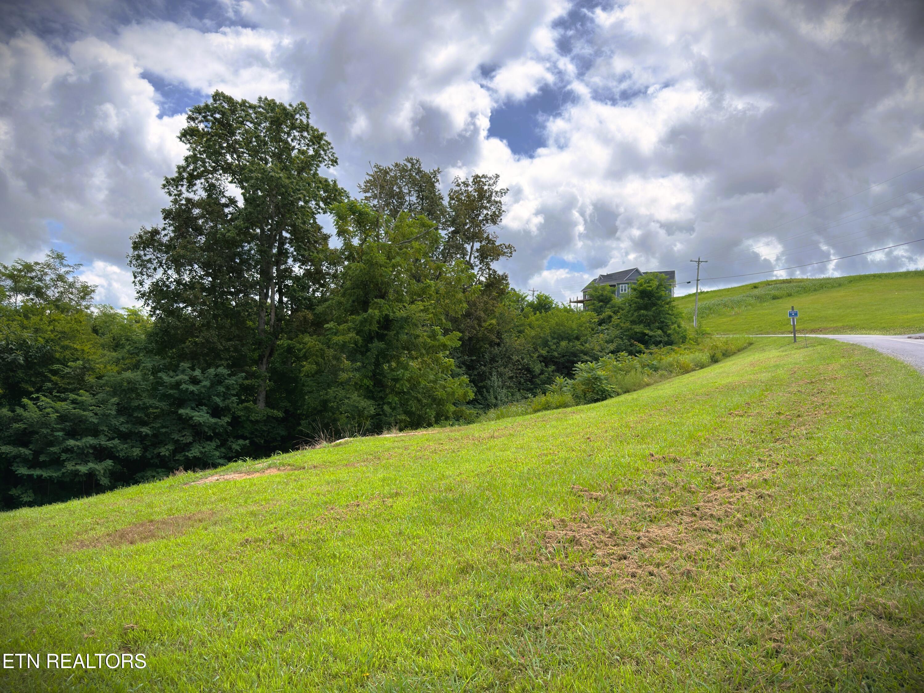 Lot 15 Swan Ridge Road Celina, TN 38551 - Photo 14 of 27 IMG_4180
