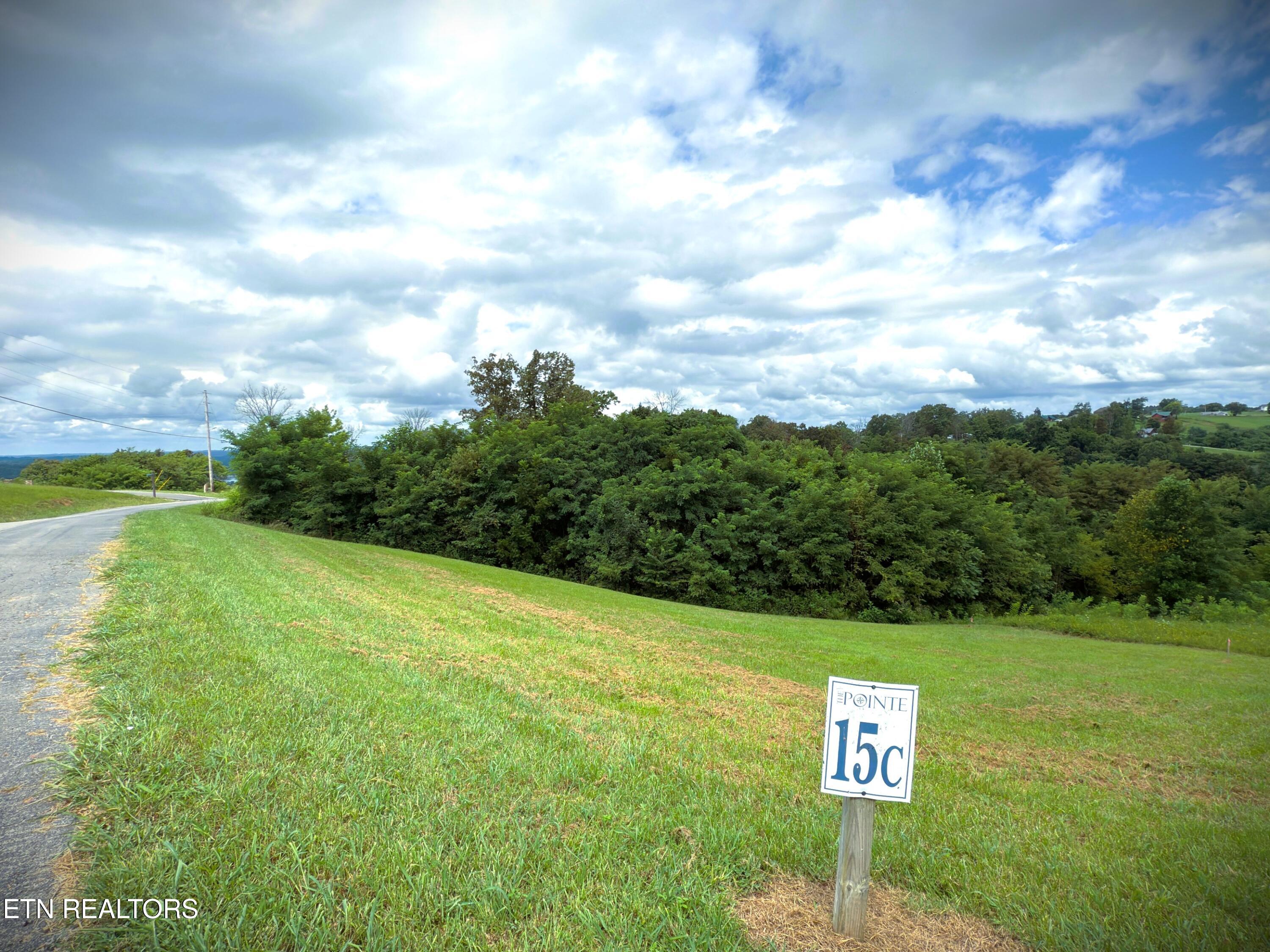 Lot 15 Swan Ridge Road Celina, TN 38551 - Photo 8 of 27 IMG_4164
