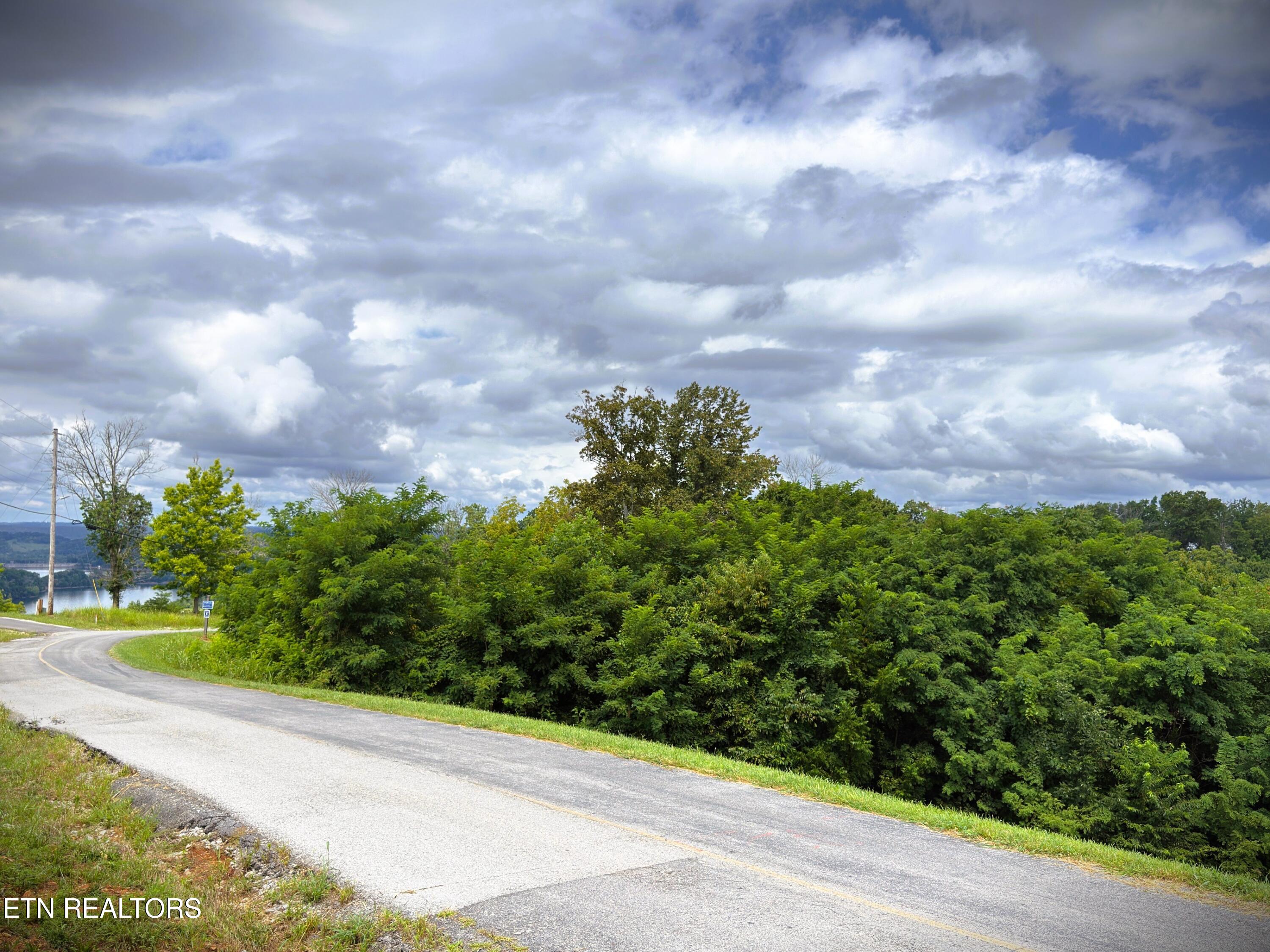 Lot 15 Swan Ridge Road Celina, TN 38551 - Photo 9 of 27 IMG_4170