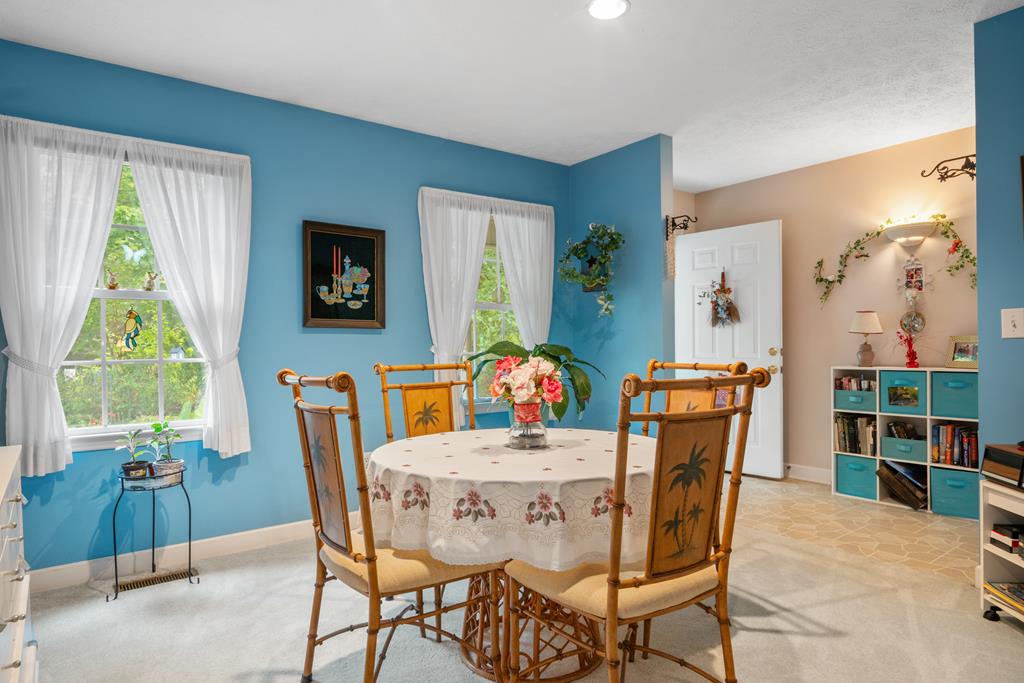 170 Holly Ridge Drive Cana, VA 24317 - Photo 9 of 68 Gallery Image 9
