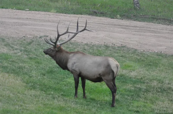 $4,325,000 | 13116 South Noka Trail, Pine, CO 80470