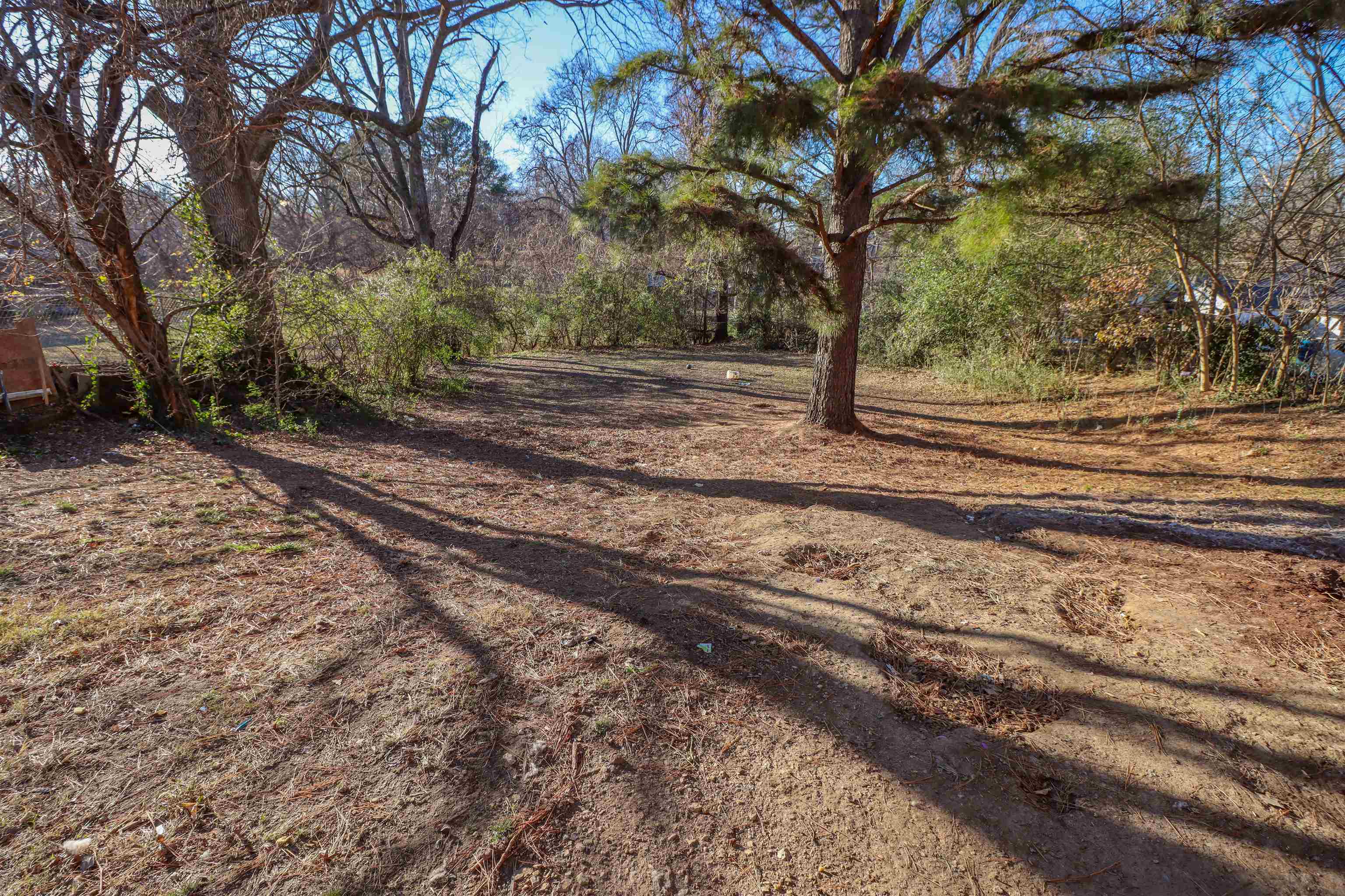 211 Washington Street Newbern, TN 38059 - Photo 15 of 28 a view of a yard with tree s