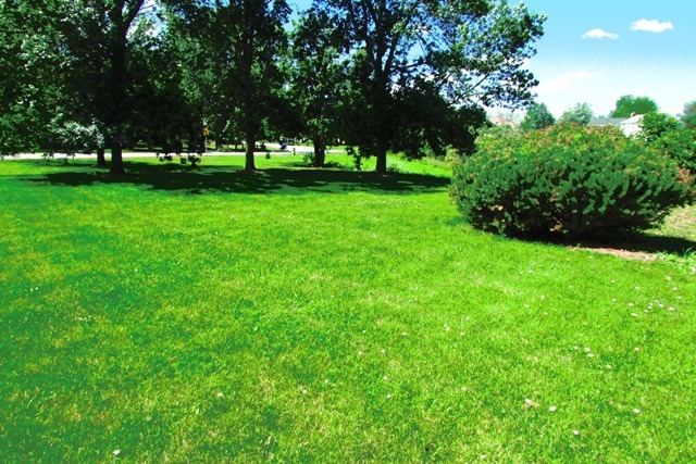 3462 Ronald Road Crete, IL 60417 - Photo 2 of 16