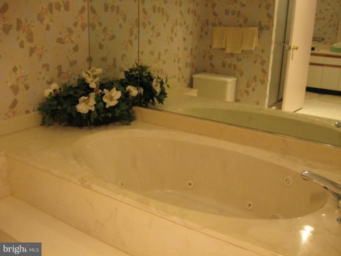 3011 Fallstaff Road, Unit 205A Baltimore, MD 21209 - Photo 14 of 15 Bath (Master)