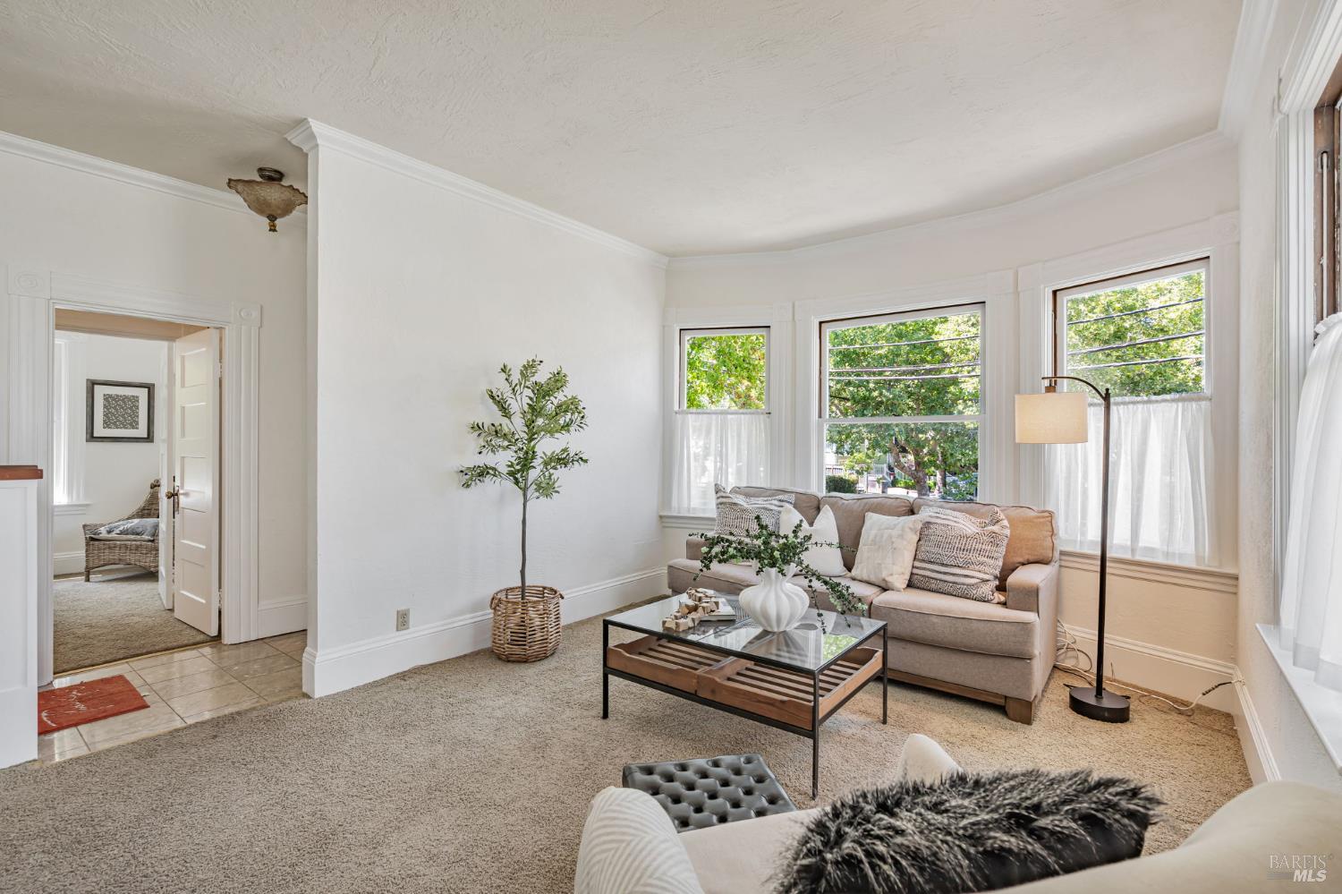 29 Frances Street San Rafael, CA 94901 - Photo 6 of 42 a living room with furniture a rug and a potted plant