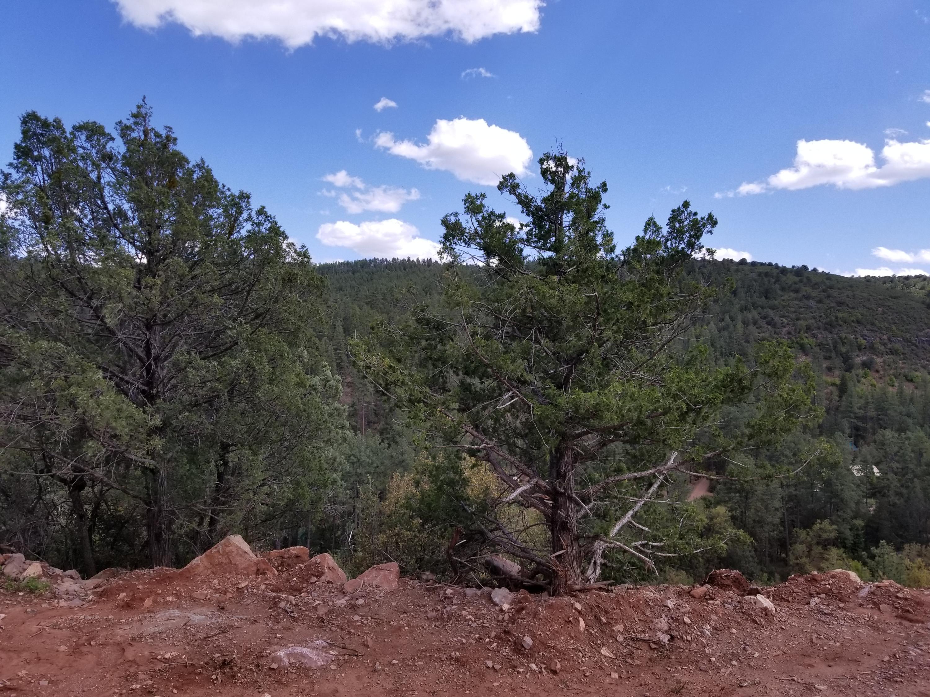 17033 Control Road Payson, AZ 85541 - Photo 24 of 28