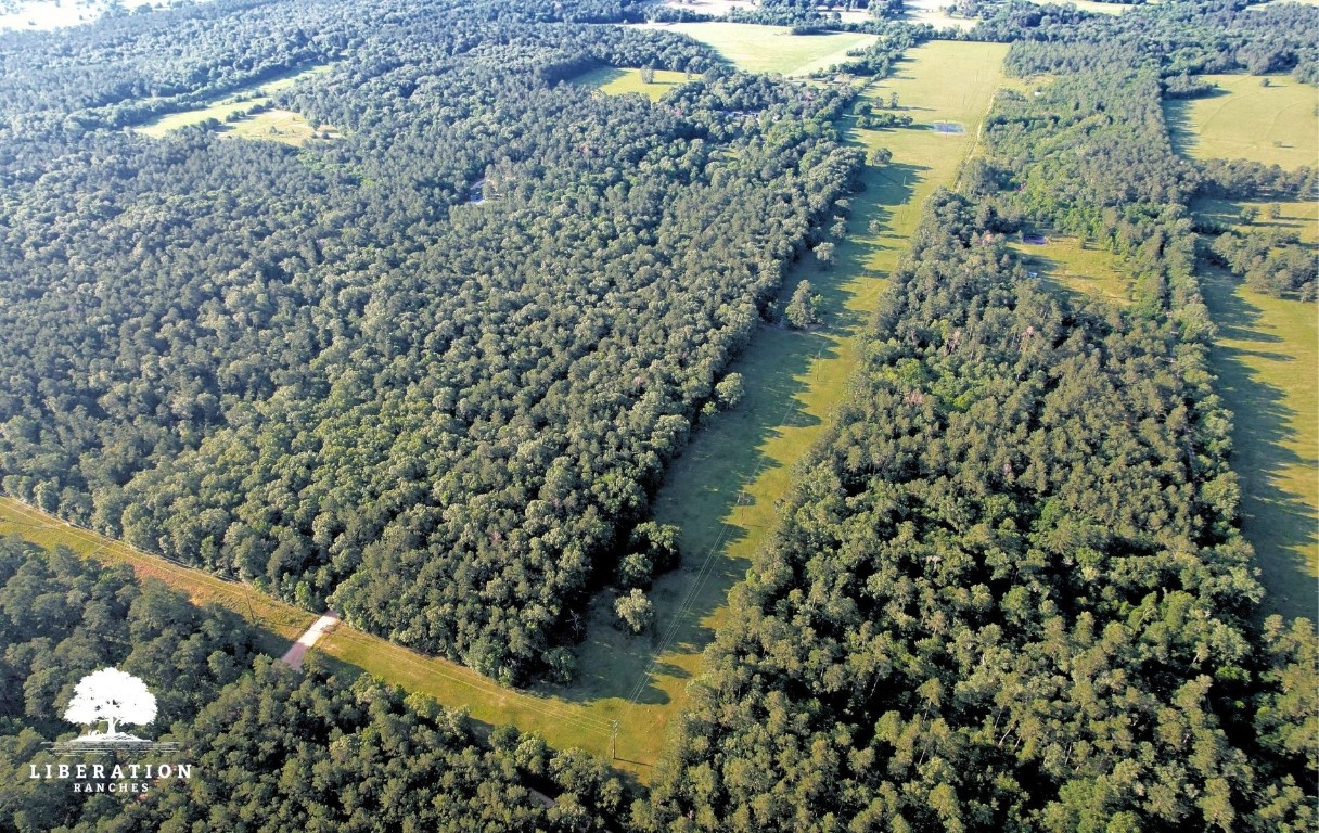 Tbd John Warren Road Coldspring, TX 77331 - Photo 11 of 16 a view of lake view