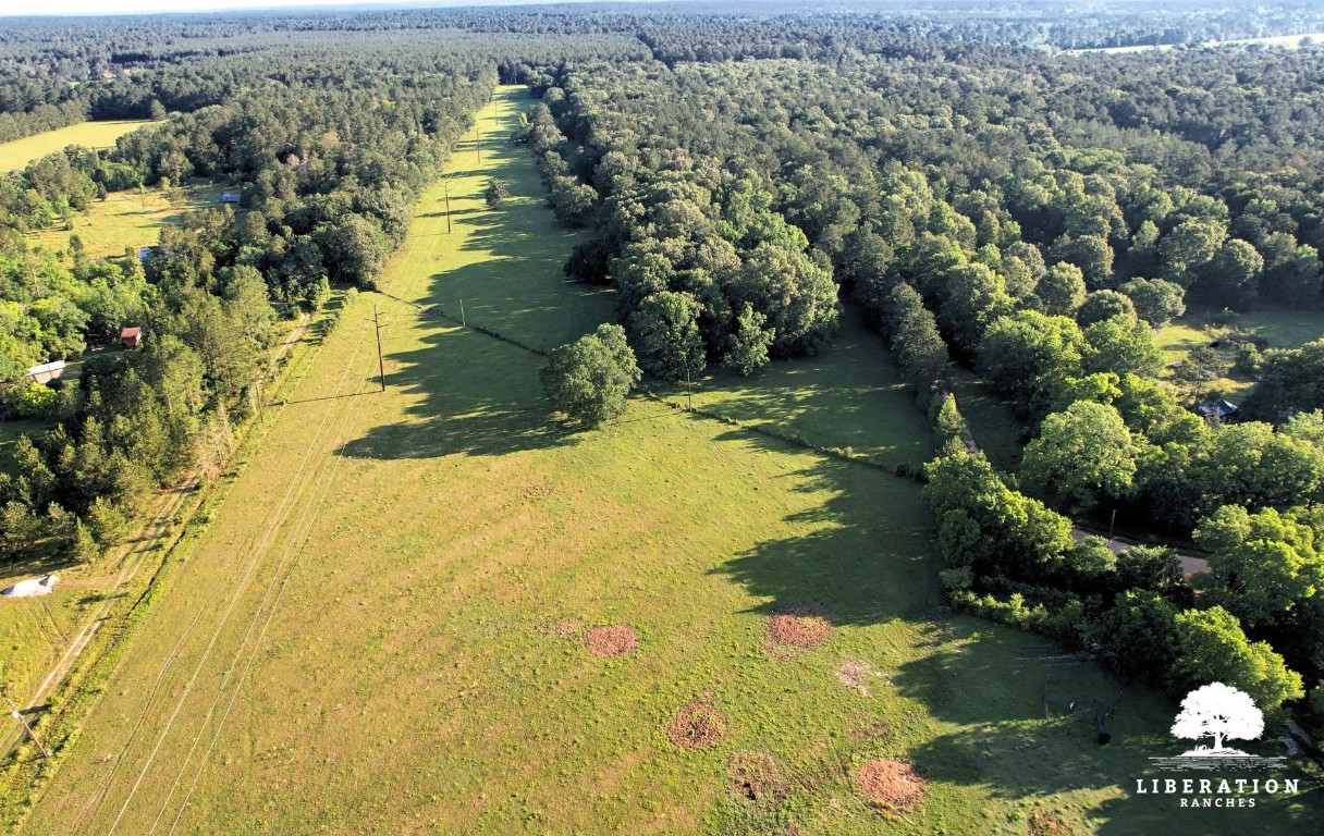 Tbd John Warren Road Coldspring, TX 77331 - Photo 12 of 16 a view of lake