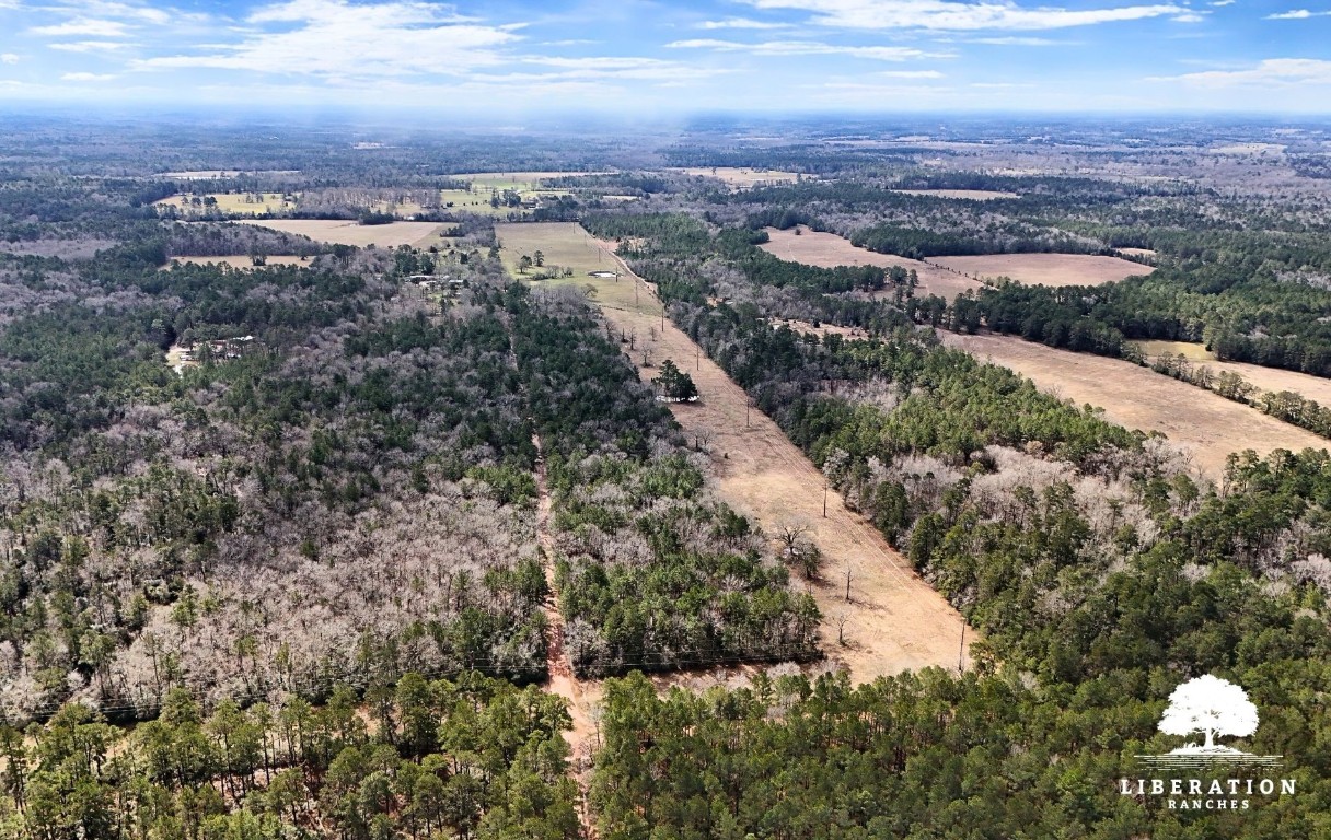 Tbd John Warren Road Coldspring, TX 77331 - Photo 13 of 16 an aerial view of multiple house