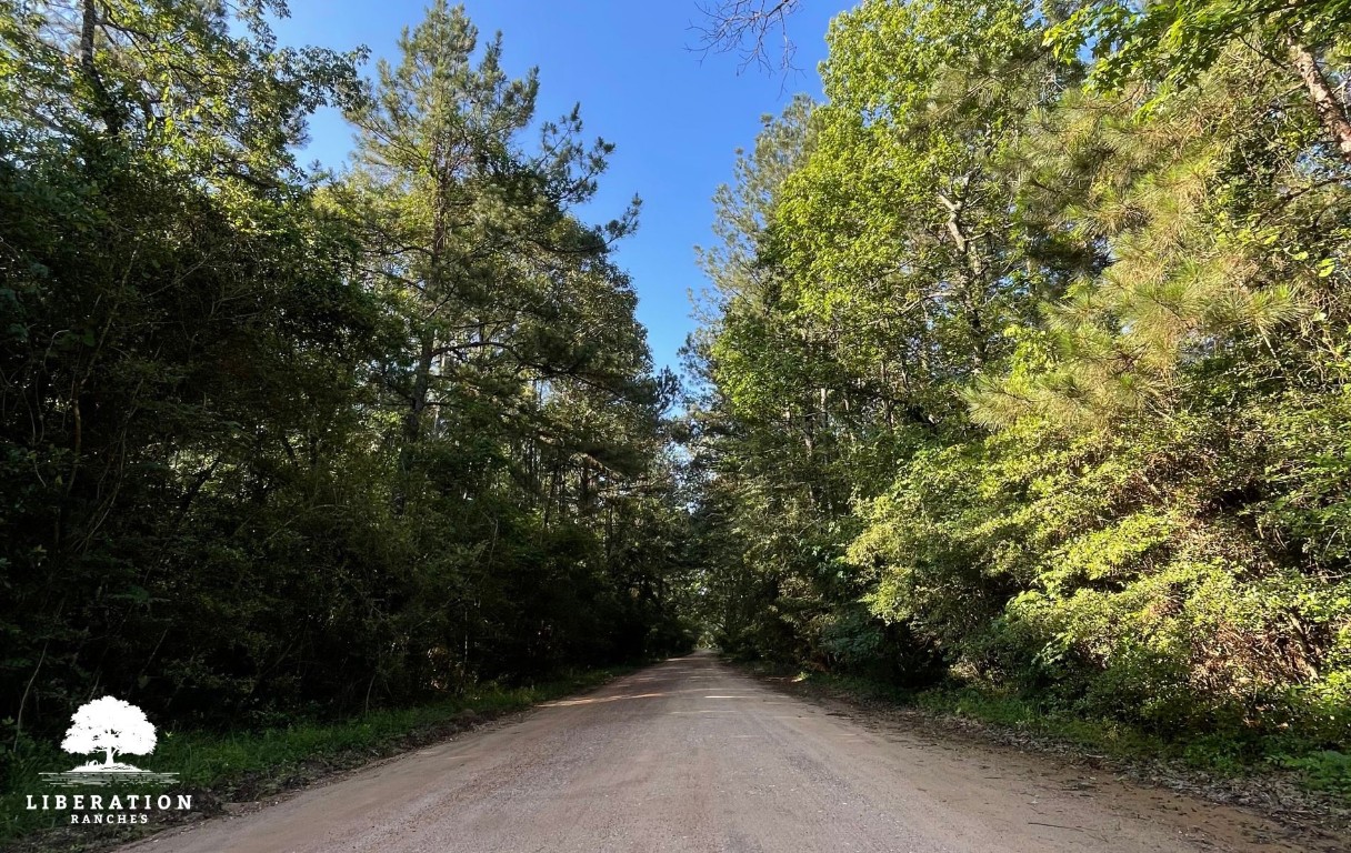 Tbd John Warren Road Coldspring, TX 77331 - Photo 15 of 16 a view of outdoor space and yard
