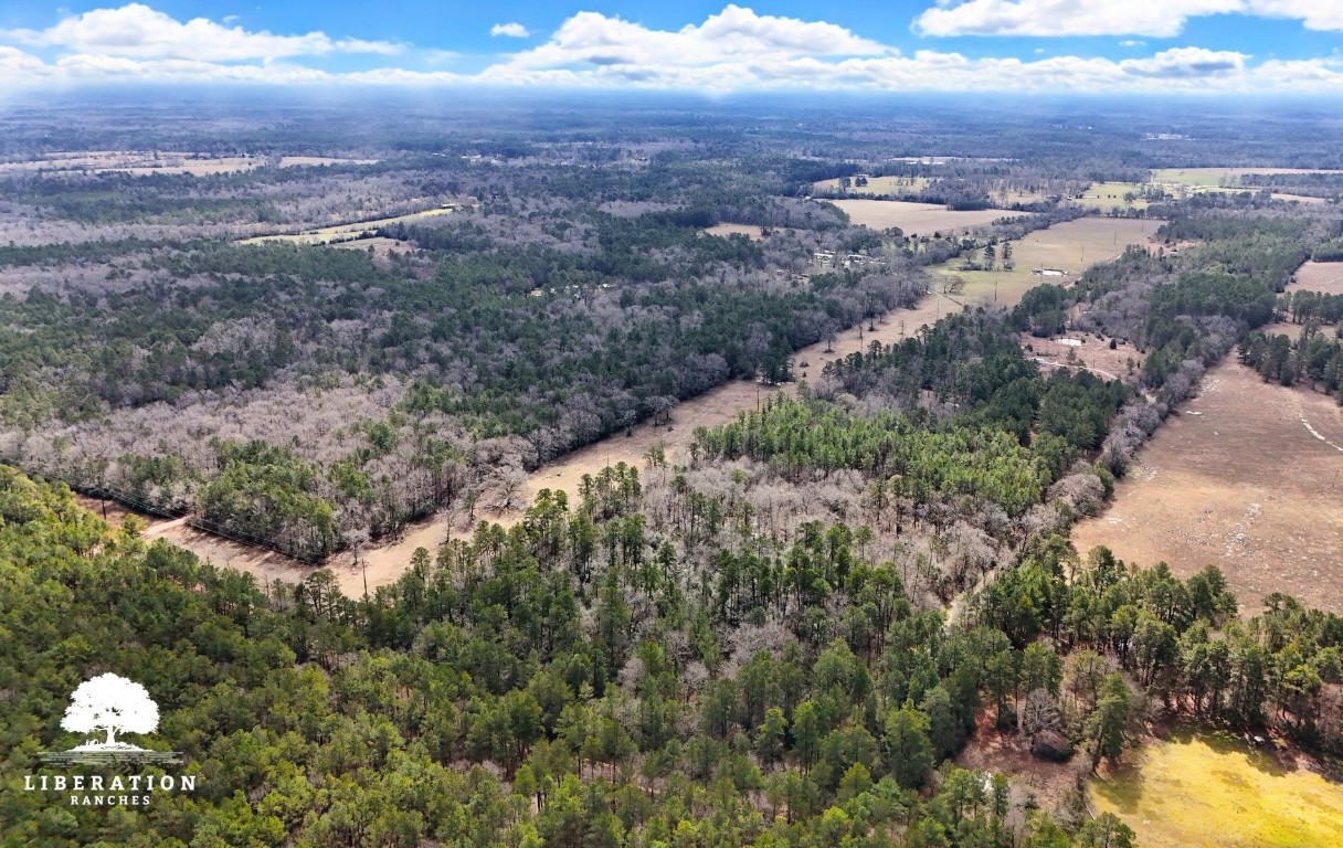 Tbd John Warren Road Coldspring, TX 77331 - Photo 3 of 16 a view of city and mountain