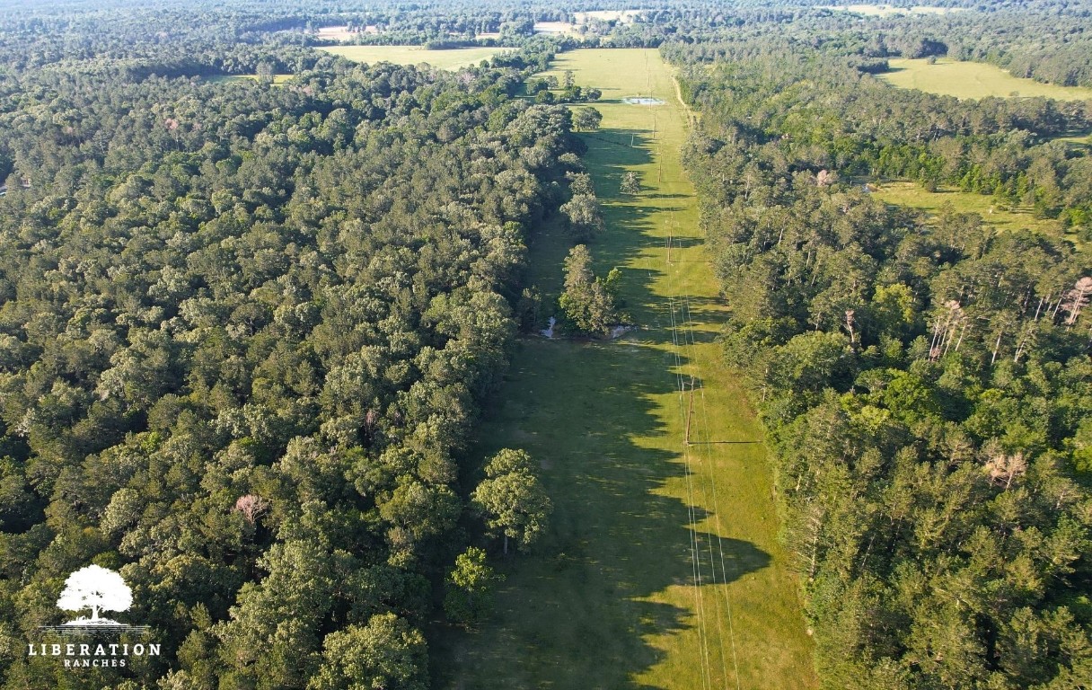 Tbd John Warren Road Coldspring, TX 77331 - Photo 4 of 16