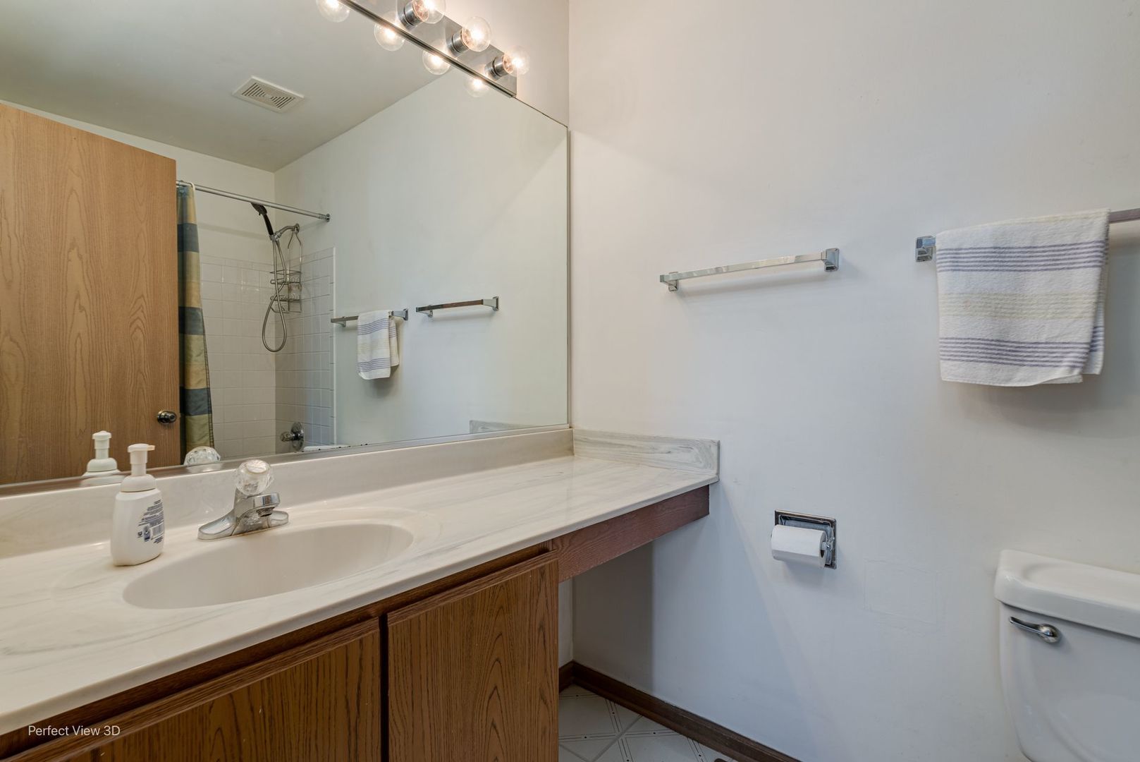 1793 Grove Avenue Schaumburg, IL 60193 - Photo 14 of 16 a bathroom with a sink and a mirror