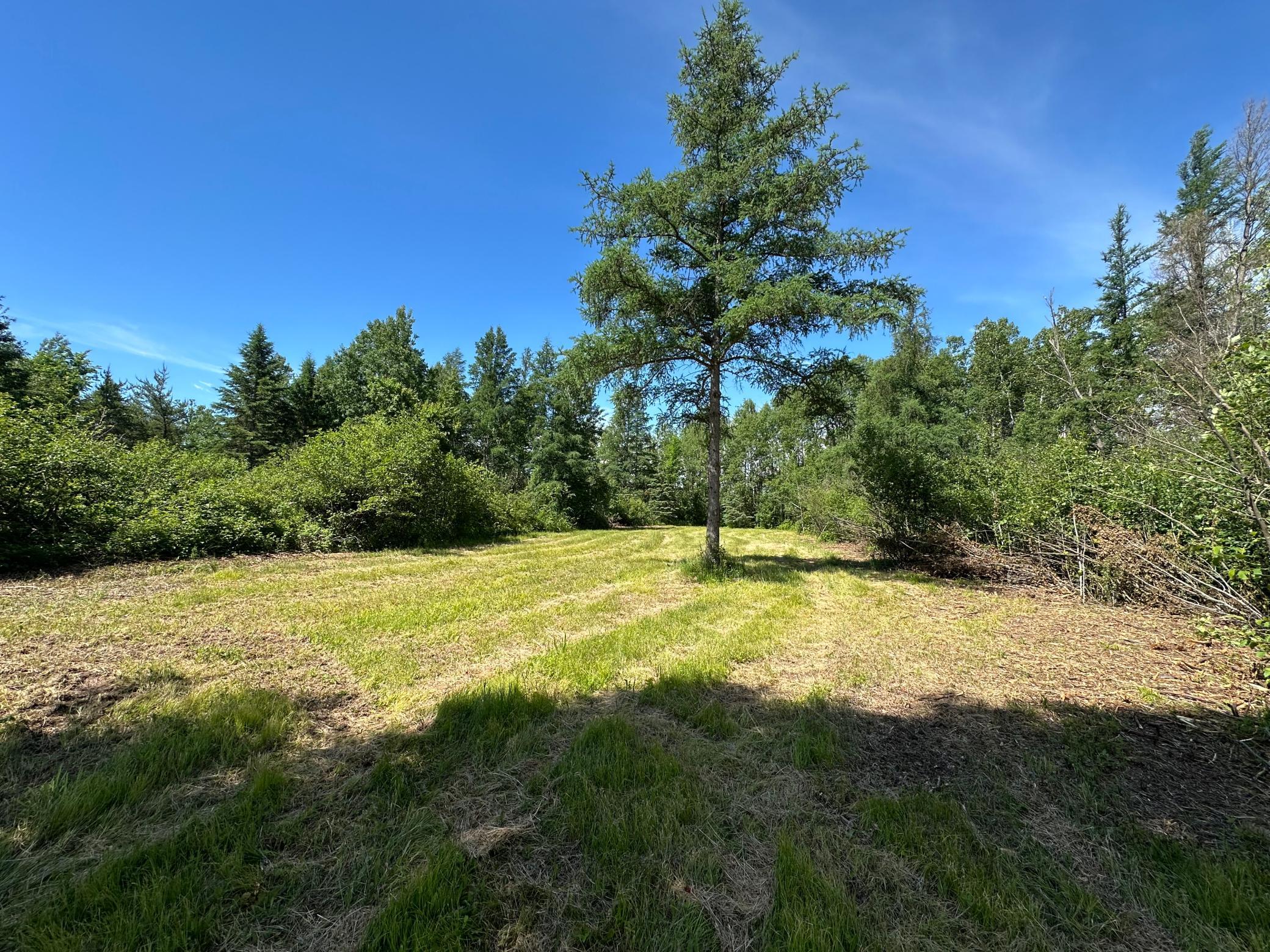89225 Little Oak Lake Road Kerrick, MN 55756 - Photo 23 of 33