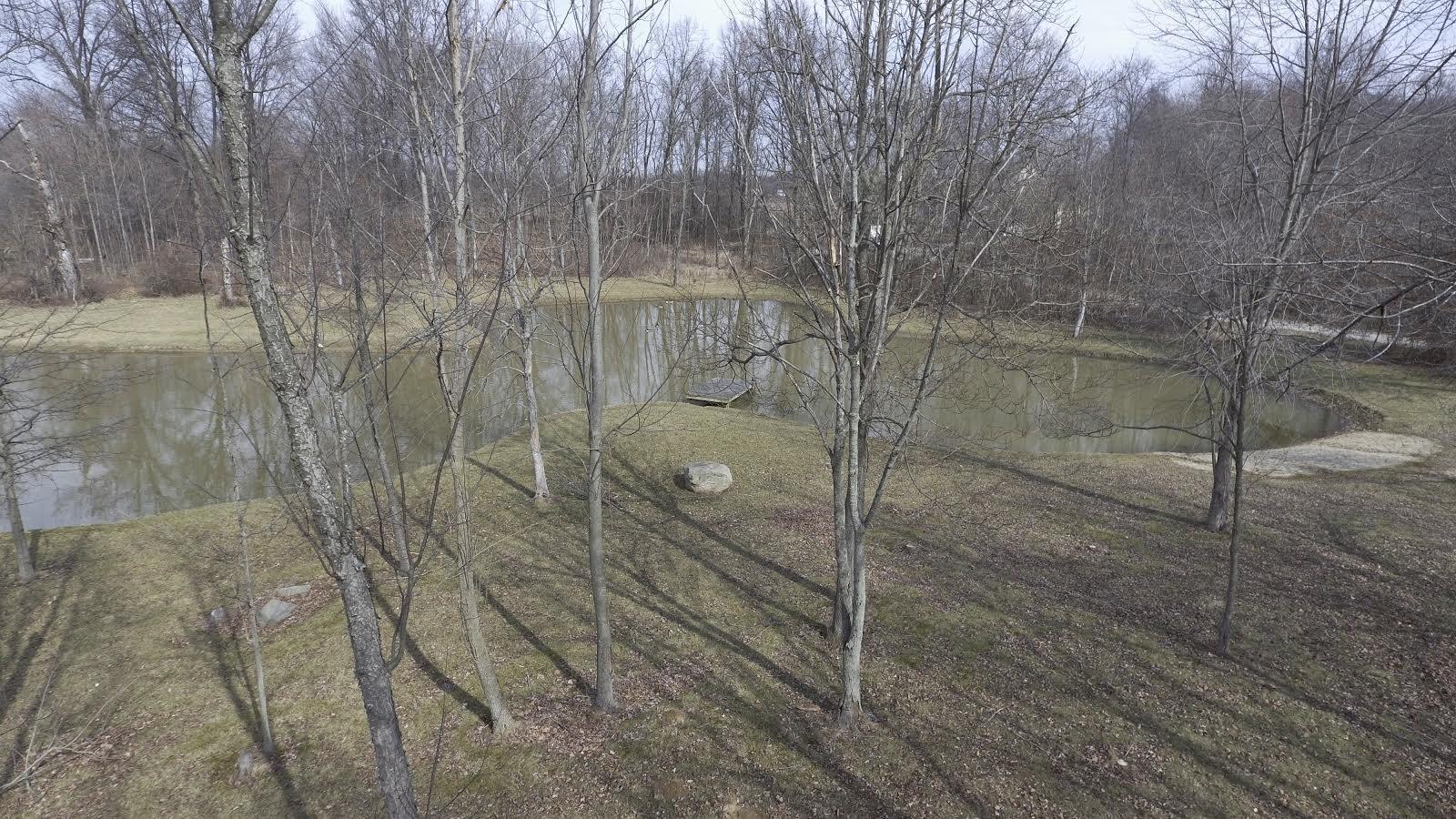 6865 Lewis Center Road Galena, OH 43021 - Photo 6 of 33 Gallery Image 6
