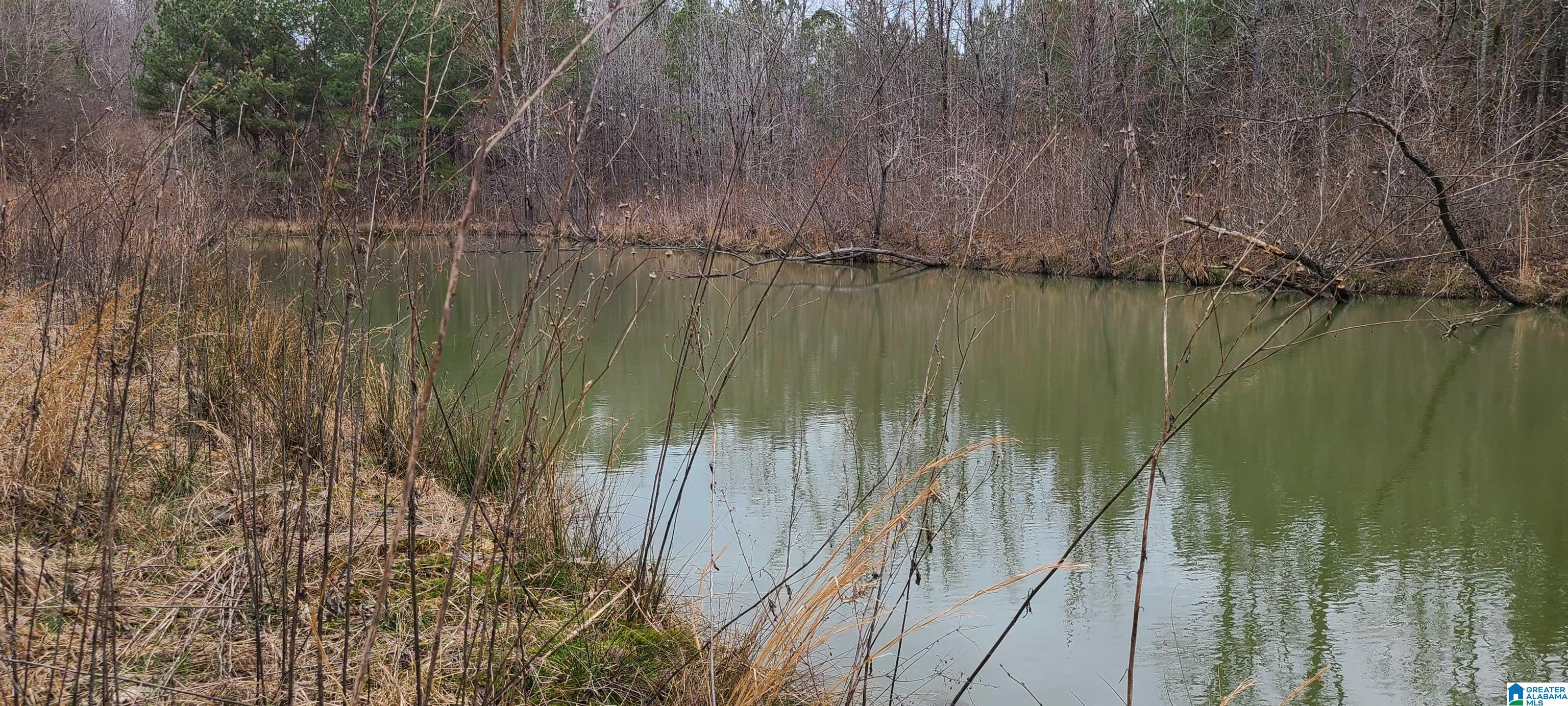 0 Wolf Creek Road Carbon Hill, AL 35549 - Photo 25 of 29