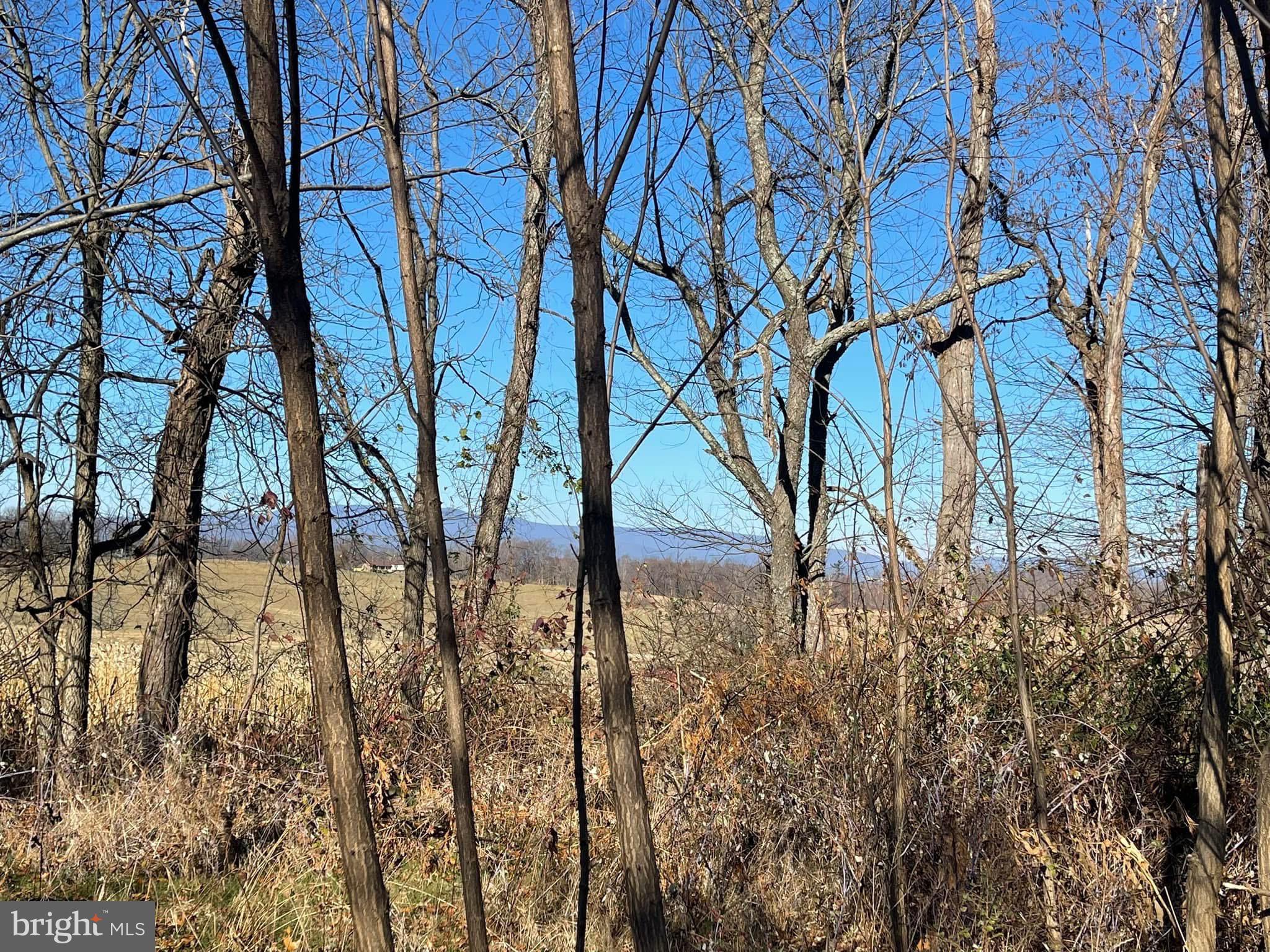 0 Chestnut Ridge Road Staunton, VA 24401 - Photo 1 of 8 a view of lake view