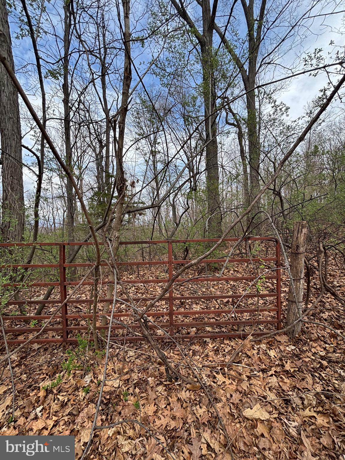 0 Chestnut Ridge Road Staunton, VA 24401 - Photo 4 of 8 a backyard of a house with lots of green space