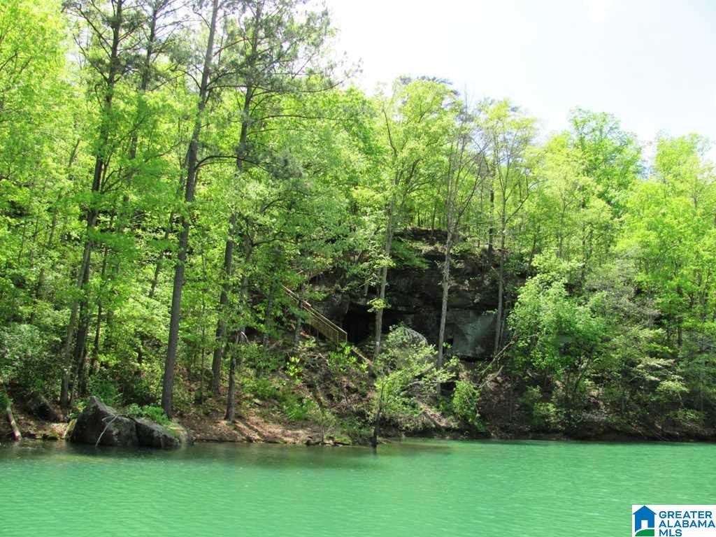 290 Camp Corinth Road Double Springs, AL 35553 - Photo 25 of 32