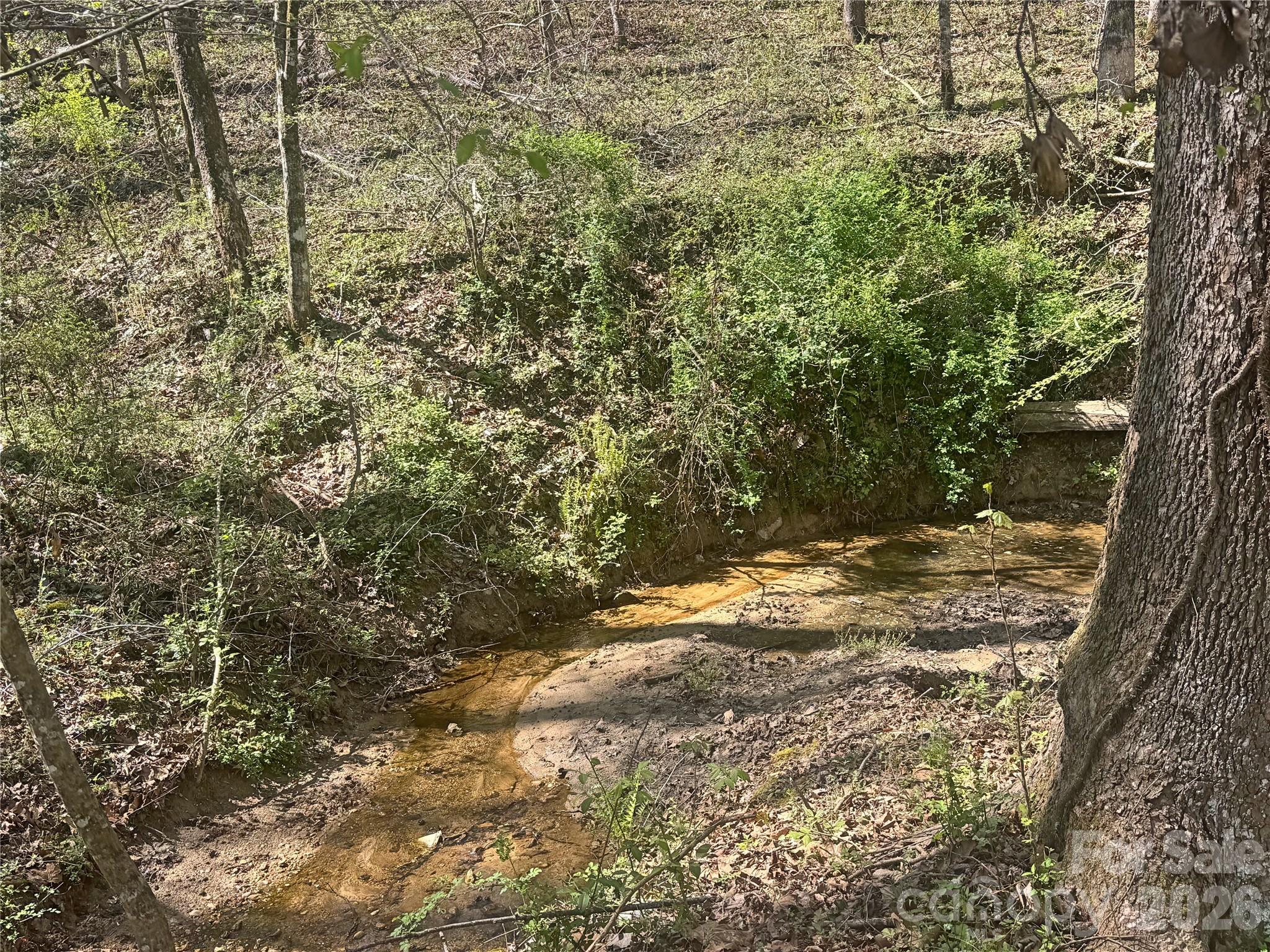 231 Pearidge Road Bostic, NC 28018 - Photo 21 of 27