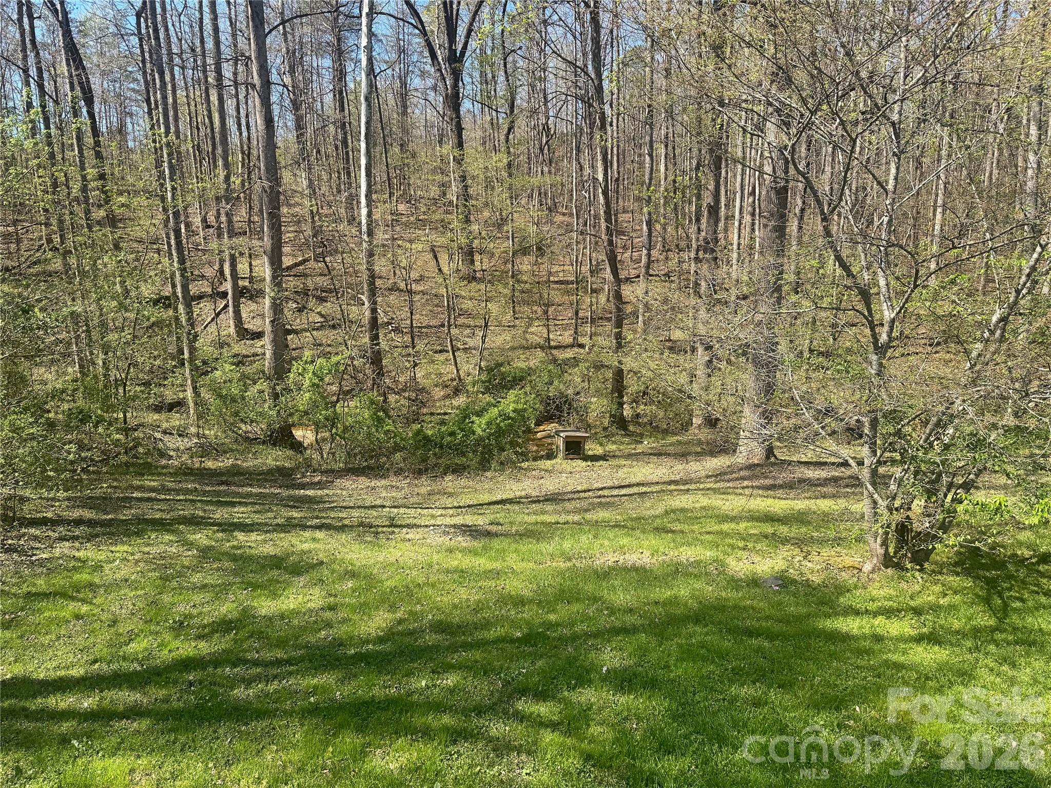 231 Pearidge Road Bostic, NC 28018 - Photo 22 of 27