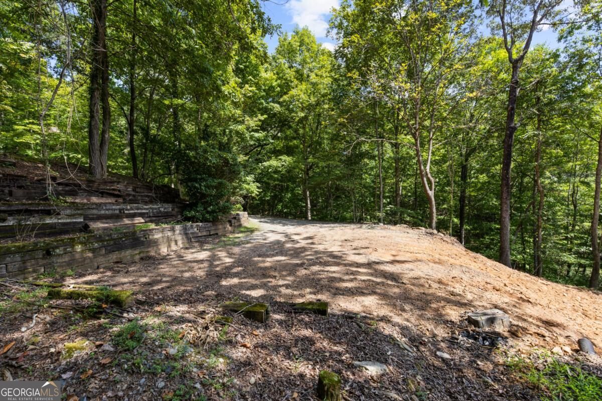 44-45 Overlook Drive Blue Ridge, GA 30513 - Photo 22 of 27 Gallery Image 22