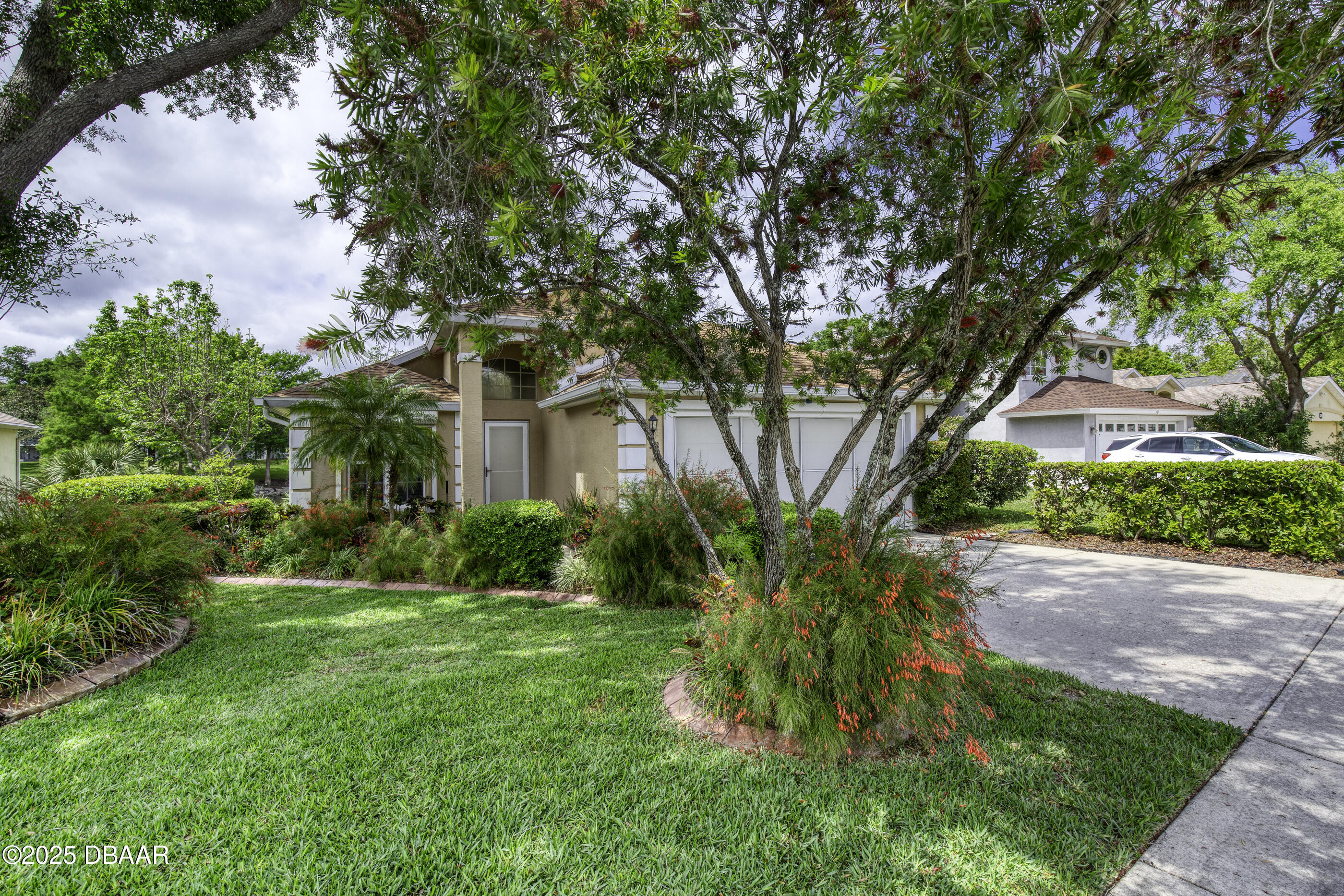 a view of a yard with plants and large trees