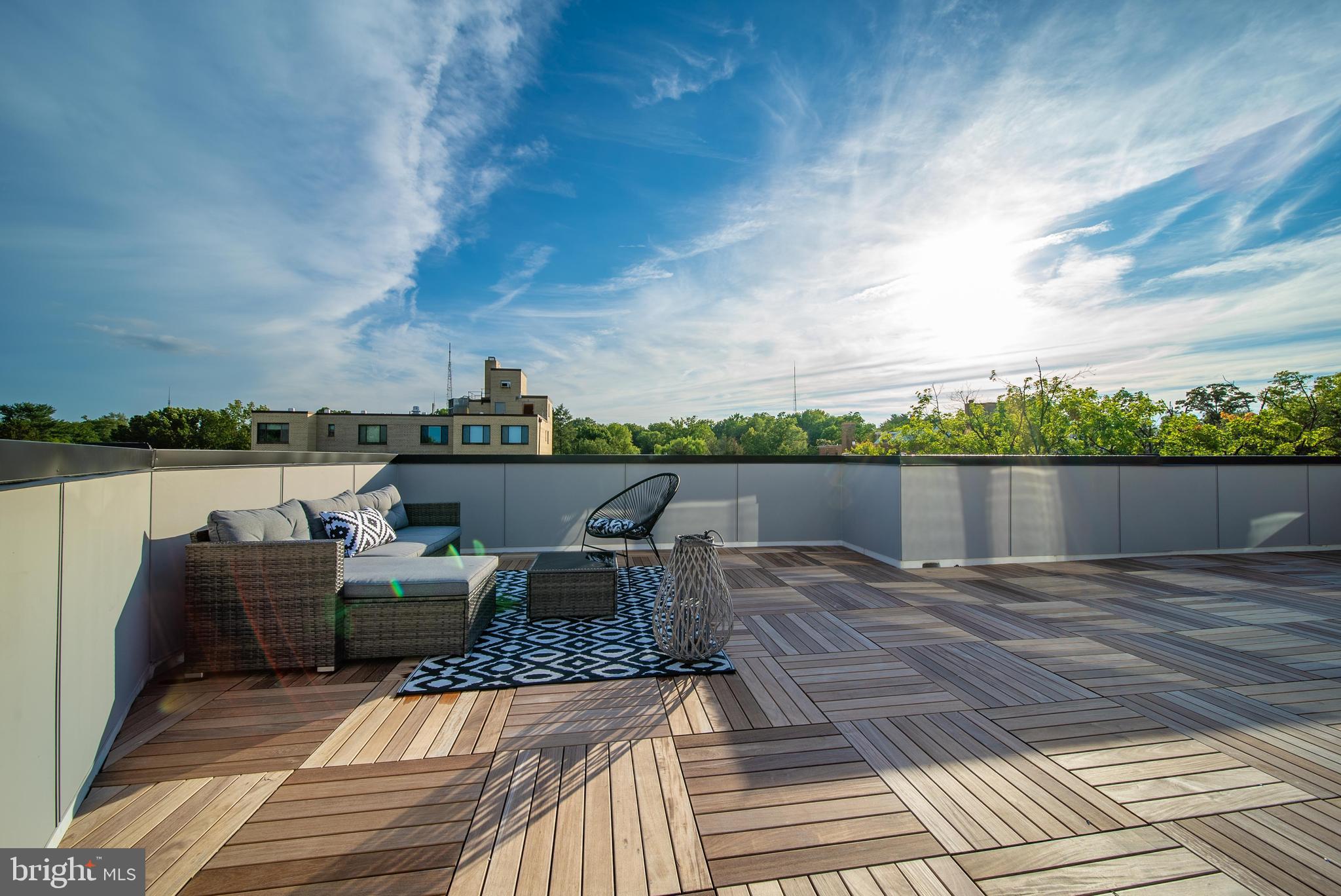 5101 Connecticut Avenue Northwest, Unit 8 Washington, DC 20008 - Photo 30 of 33 Rooftop