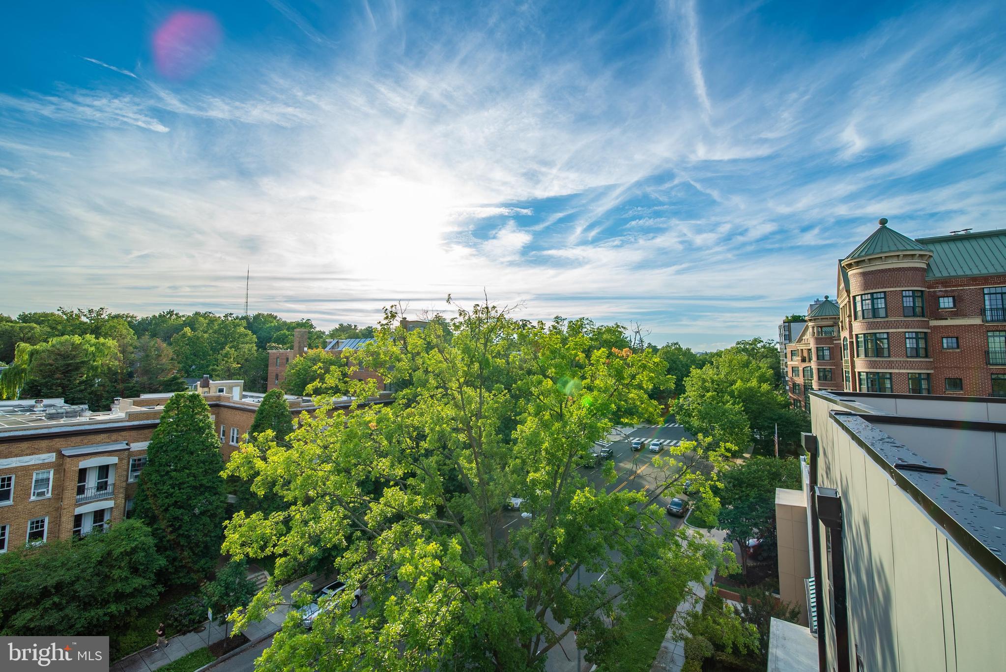 5101 Connecticut Avenue Northwest, Unit 8 Washington, DC 20008 - Photo 32 of 33 Rooftop Views
