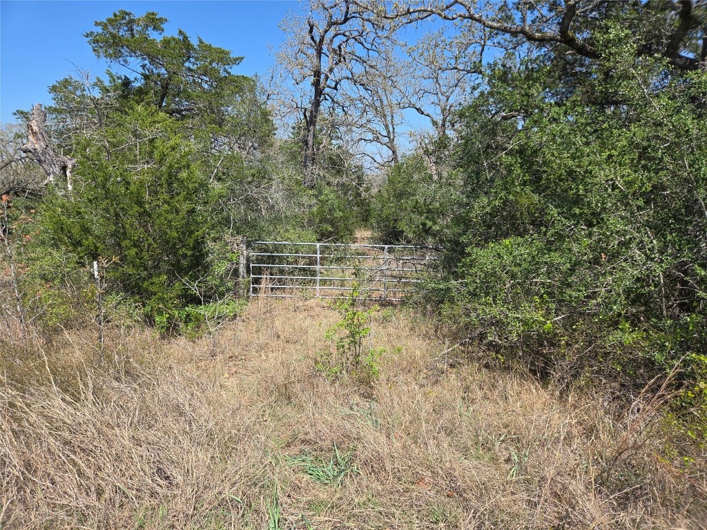 Tba Thousand Oaks Dr Lot Tba Thousand Oaks Drive Cedar Creek, TX 78612 - Photo 1 of 6 a view of yard with green space