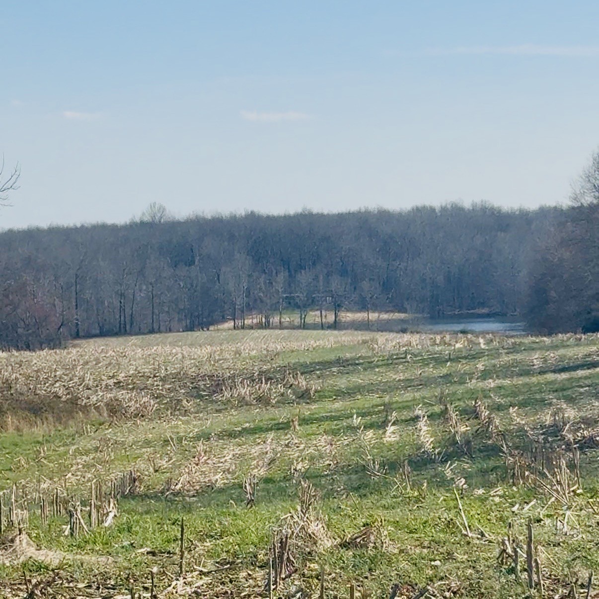 0 Cabbage Patch Road Altamont, TN 37301 - Photo 1 of 9 Gallery Image 1