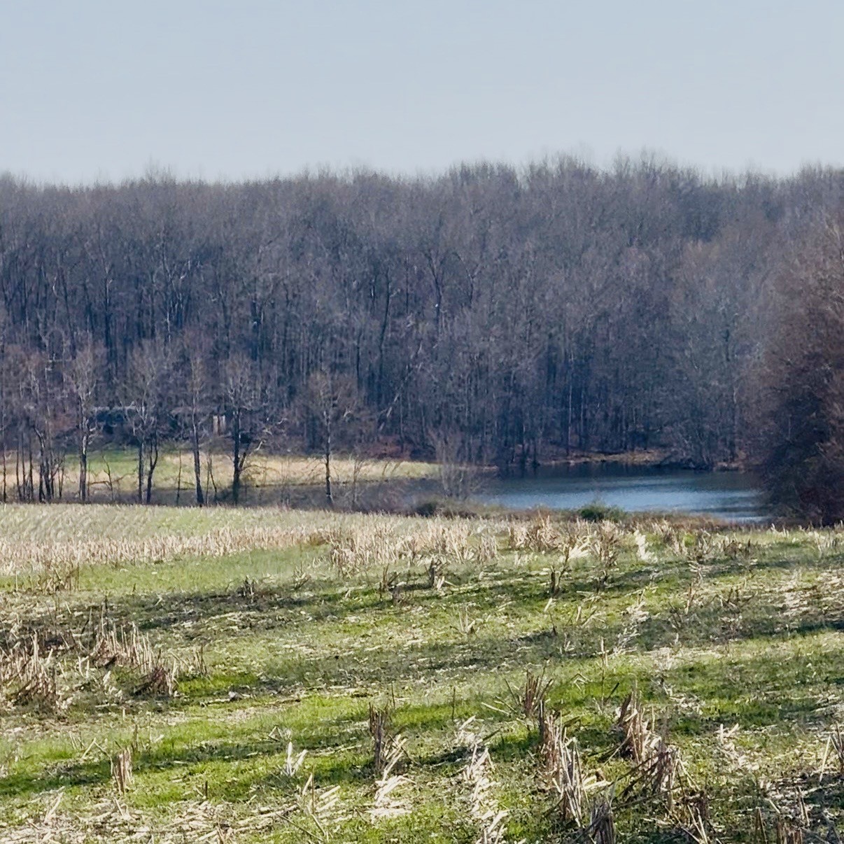 0 Cabbage Patch Road Altamont, TN 37301 - Photo 2 of 9 Gallery Image 2