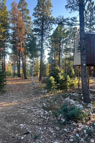 140 East Rim Road Duck Creek Village, UT 84762 - Photo 13 of 45 View of yard