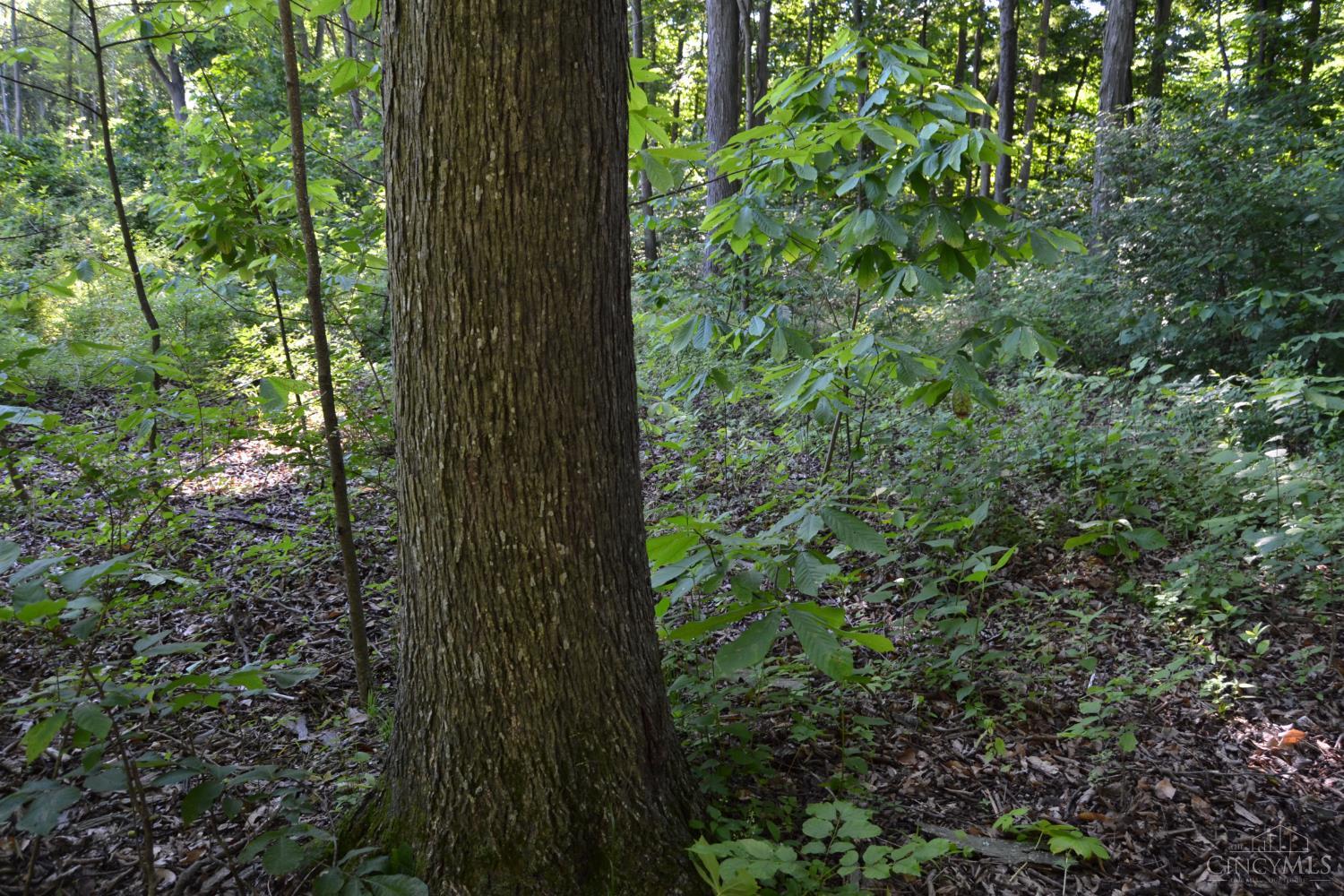 Ac Case Road New Richmond, OH 45157 - Photo 8 of 19