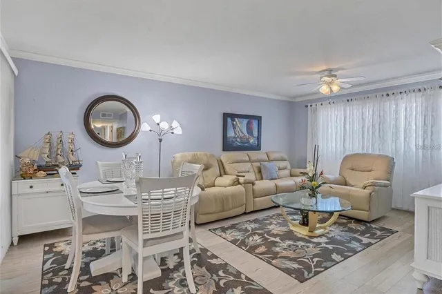 a living room with furniture a rug and a window