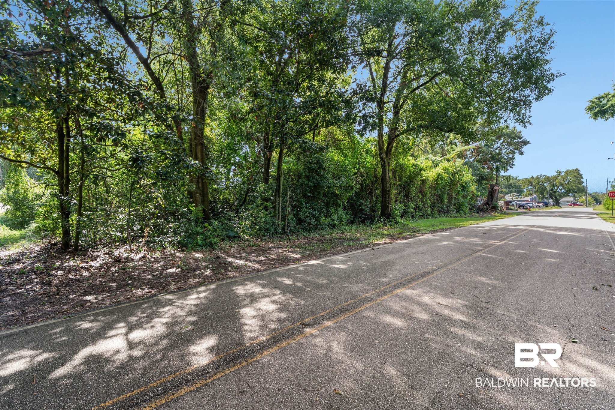 118 West Spruce Avenue Foley, AL 36535 - Photo 11 of 11 Gallery Image 11