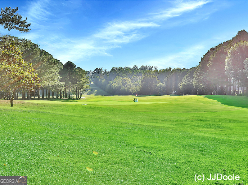 57 Middleton Trace Newnan, GA 30265 - Photo 67 of 82