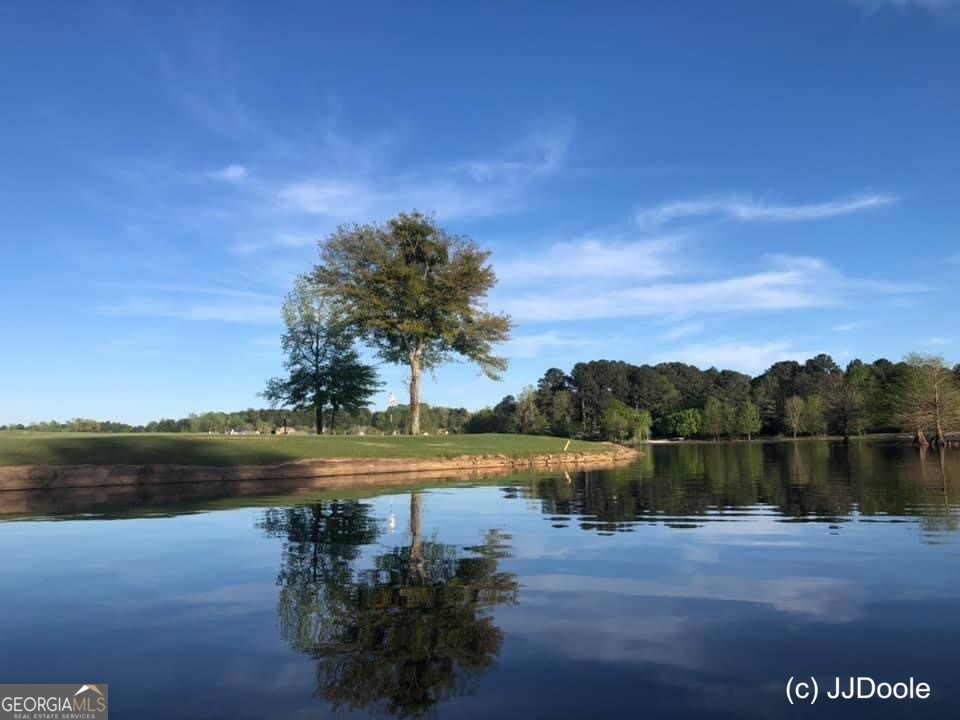 57 Middleton Trace Newnan, GA 30265 - Photo 73 of 82