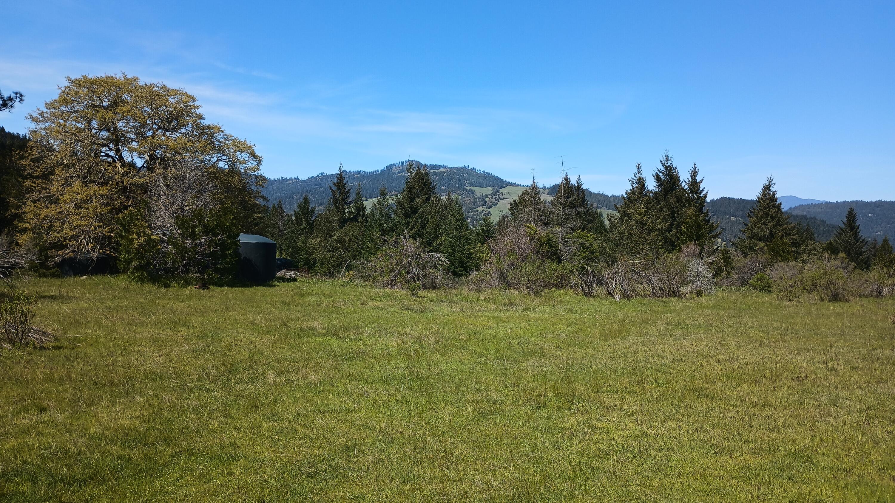 3951 Upper Thomas Early Ranch Road Miranda, CA 95553 - Photo 23 of 57